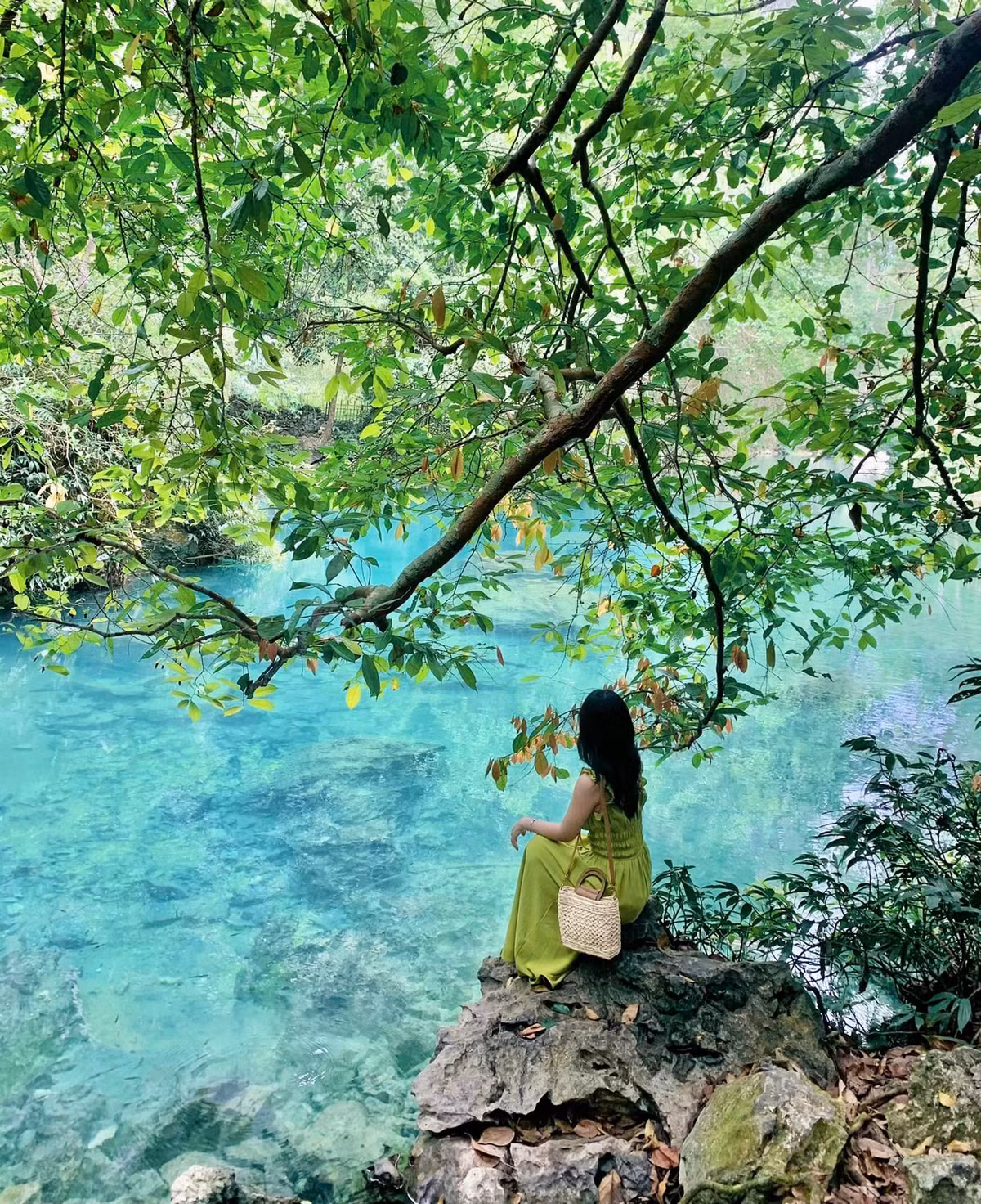 Du khách đến Cao Bằng vào tháng 6 không chỉ được thưởng ngoạn vẻ đẹp hoang sơ của thác Bản Giốc hay động Ngườm Ngao mà còn có cơ hội tìm hiểu về một trong những trang sử hào hùng của dân tộc tại khu di tích Pác Bó. Pác Bó, nơi Chủ tịch Hồ Chí Minh đã từng sống và làm việc trong những năm đầu khi trở về Tổ quốc, không chỉ là địa chỉ tham quan mà còn là nơi để du khách cảm nhận sâu sắc hơn về tinh thần cách mạng và ý chí kiên cường của dân tộc.