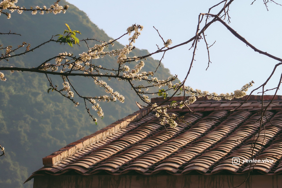 Cách Hà Nội hơn 150 km, tương đương khoảng hơn 3 giờ di chuyển bằng ô tô cá nhân, làng Quỳnh Sơn hiện lên như một bức tranh xuân êm đềm với núi non trùng điệp, ruộng đồng trải dài và những nếp nhà sàn cổ kính. Ảnh Yenleevivu