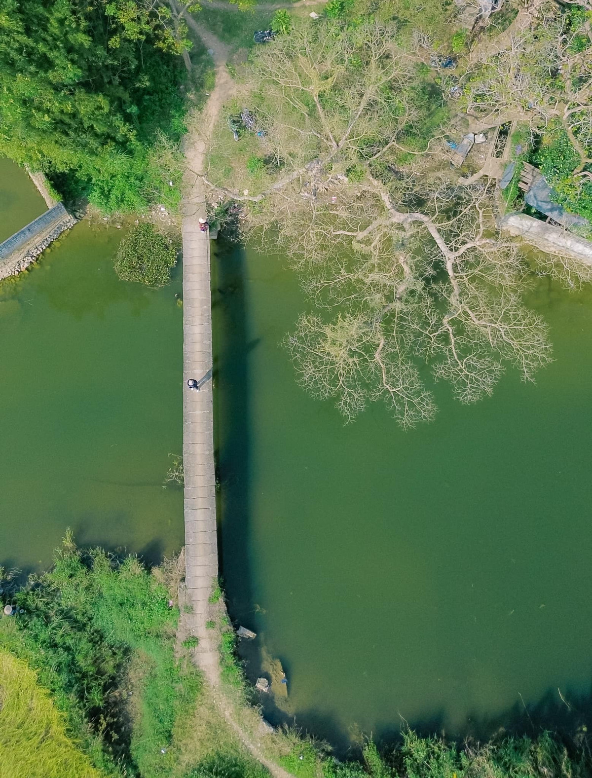 Với khoảng cách vừa phải từ Hà Nội, cảnh sắc thiên nhiên nguyên sơ, nhịp sống chậm rãi và không khí yên bình, làng Quỳnh Sơn là điểm đến phù hợp cho những chuyến du lịch Tết nhẹ nhàng, tránh xa sự đông đúc. Ảnh Chu Đức Giang