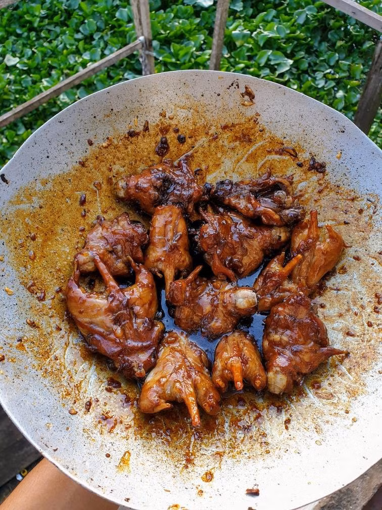 Thức ăn chính của chuột dừa là củ hủ dừa, phần lõi non quý giá của cây, cùng với cơm dừa và nước dừa bên trong trái. Chính chế độ ăn đặc biệt này khiến thịt chuột dừa có mùi vị khác biệt so với nhiều loài chuột khác. Ảnh Hồ Ngọc Quý