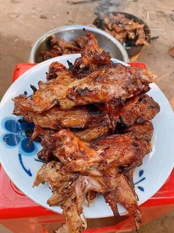 Theo người dân địa phương, chuột dừa có thân dài, lông mượt và sạch. Thịt chuột sau khi chế biến không hề tanh mà thơm, săn chắc, hơi dai, vị ngọt tự nhiên. Nhiều thực khách từng thưởng thức cho biết, nếu vượt qua được rào cản tâm lý ban đầu, hương vị của chuột dừa thậm chí còn hấp dẫn hơn cả thịt gà ta. Ảnh Hồ Ngọc Quý