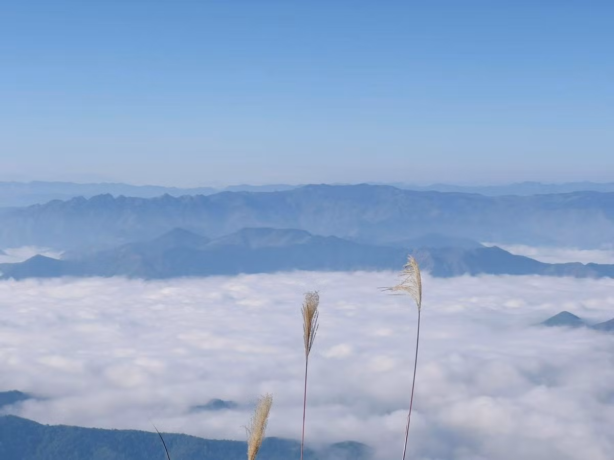 Danh sách này phản ánh rõ xu hướng du lịch năm 2026, khi du khách ngày càng ưu tiên những hành trình trải nghiệm, tìm kiếm sự mới mẻ, yên tĩnh và kết nối sâu với thiên nhiên, thay vì các điểm đến đông đúc, quen thuộc. Ảnh Ngô Quốc Minh