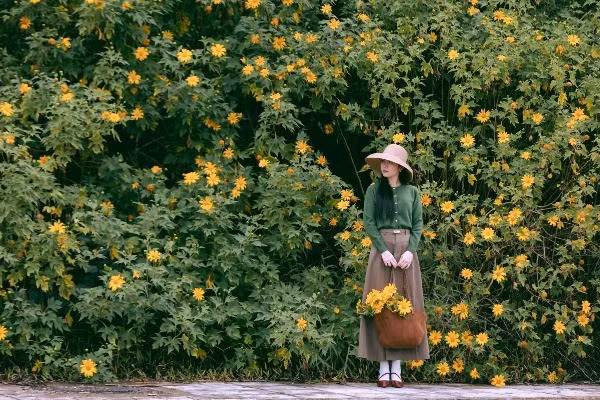 Trên các cung đường quen thuộc dẫn vào thành phố, những bụi dã quỳ đầu tiên đã hé nở, khoe sắc giữa nền trời xanh biếc. Màu vàng ấm áp nổi bật giữa rừng thông bạt ngàn khiến nhiều người không khỏi chậm bước để ngắm nhìn, tận hưởng hương sắc của mùa thu cao nguyên. Ảnh Hậu Nguyễn