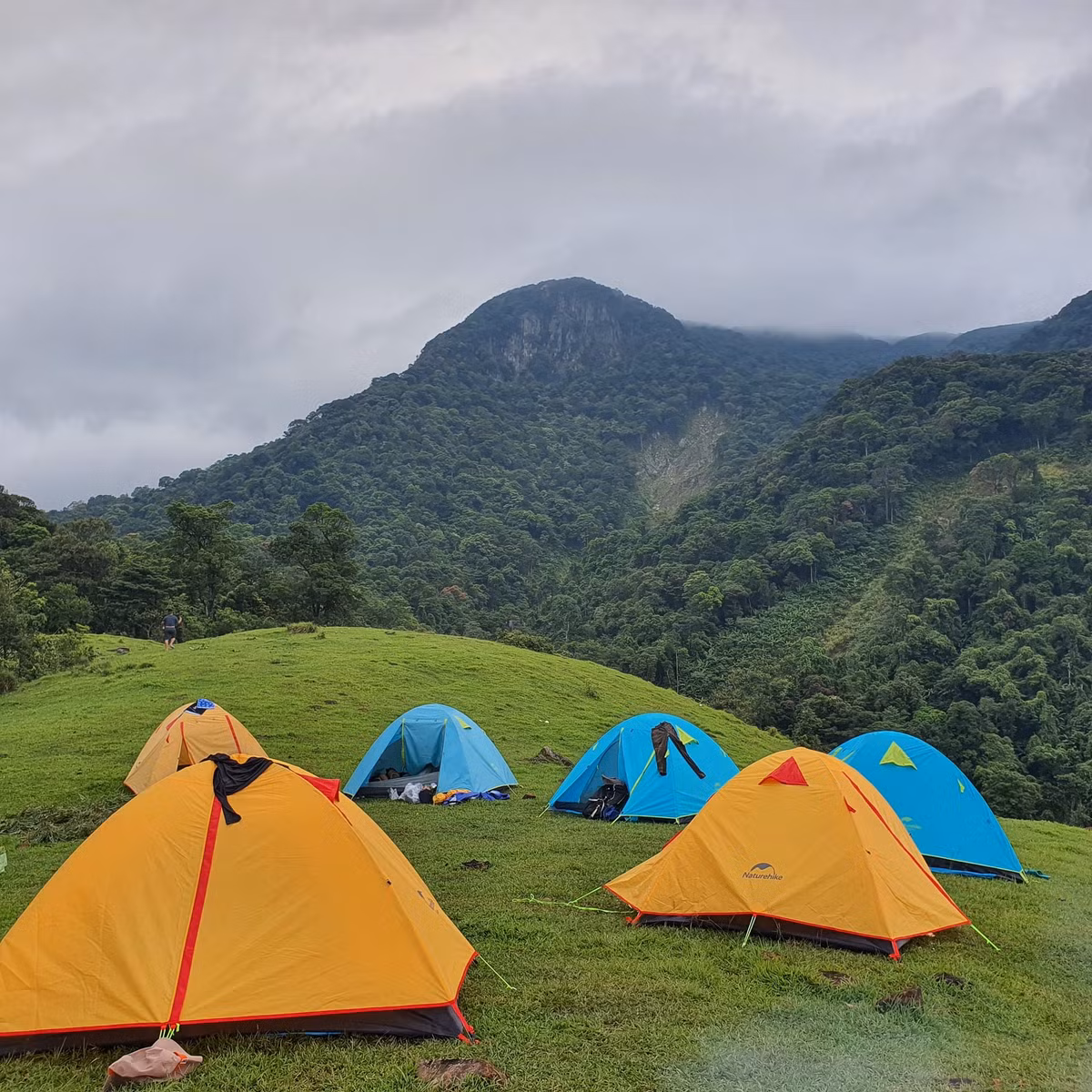 Đồi cỏ Xa Reng còn là thiên đường cắm trại với các hành trình 2 ngày 1 đêm. Du khách có thể dựng lều ngay trên đỉnh đồi, quây quần bên bếp lửa, ngắm bầu trời đầy sao và các trụ điện gió sáng rực bên triền đồi. Ảnh Trường Sinh