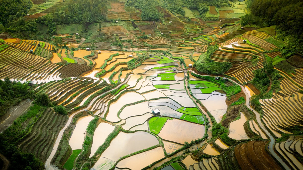 Đây cũng chính là thời điểm được ví như “mùa khai bút” của đất đai – nơi con người và thiên nhiên cùng bắt đầu một vụ mùa mới. Ảnh Giàng A Chay