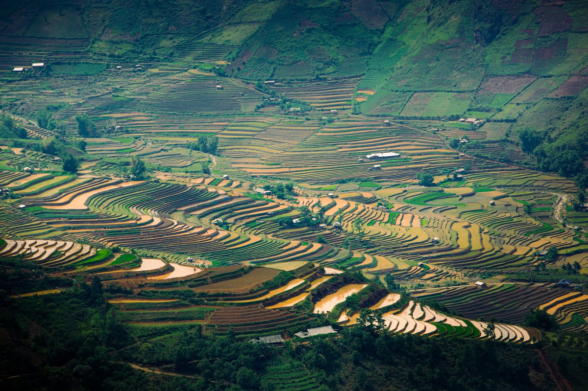 Để chuyến đi Mù Cang Chải mùa nước đổ trở nên trọn vẹn, du khách nên đi vào cuối tháng 5 đến giữa tháng 6, khi ruộng bậc thang đẹp nhất. Phương tiện di chuyển thuận tiện từ Hà Nội là ô tô hoặc xe máy, khoảng cách tầm 280 km. Đừng quên mang theo giày trekking, áo chống nắng, mũ và đồ chống côn trùng để tiện di chuyển và bảo vệ sức khỏe. Lưu ý, vì mùa nước đổ thu hút nhiều du khách, nên du khách hãy đặt lịch trước tại các homestay hoặc nhà nghỉ để tránh tình trạng hết phòng, nhất là vào cuối tuần. Ảnh Giàng A Chay