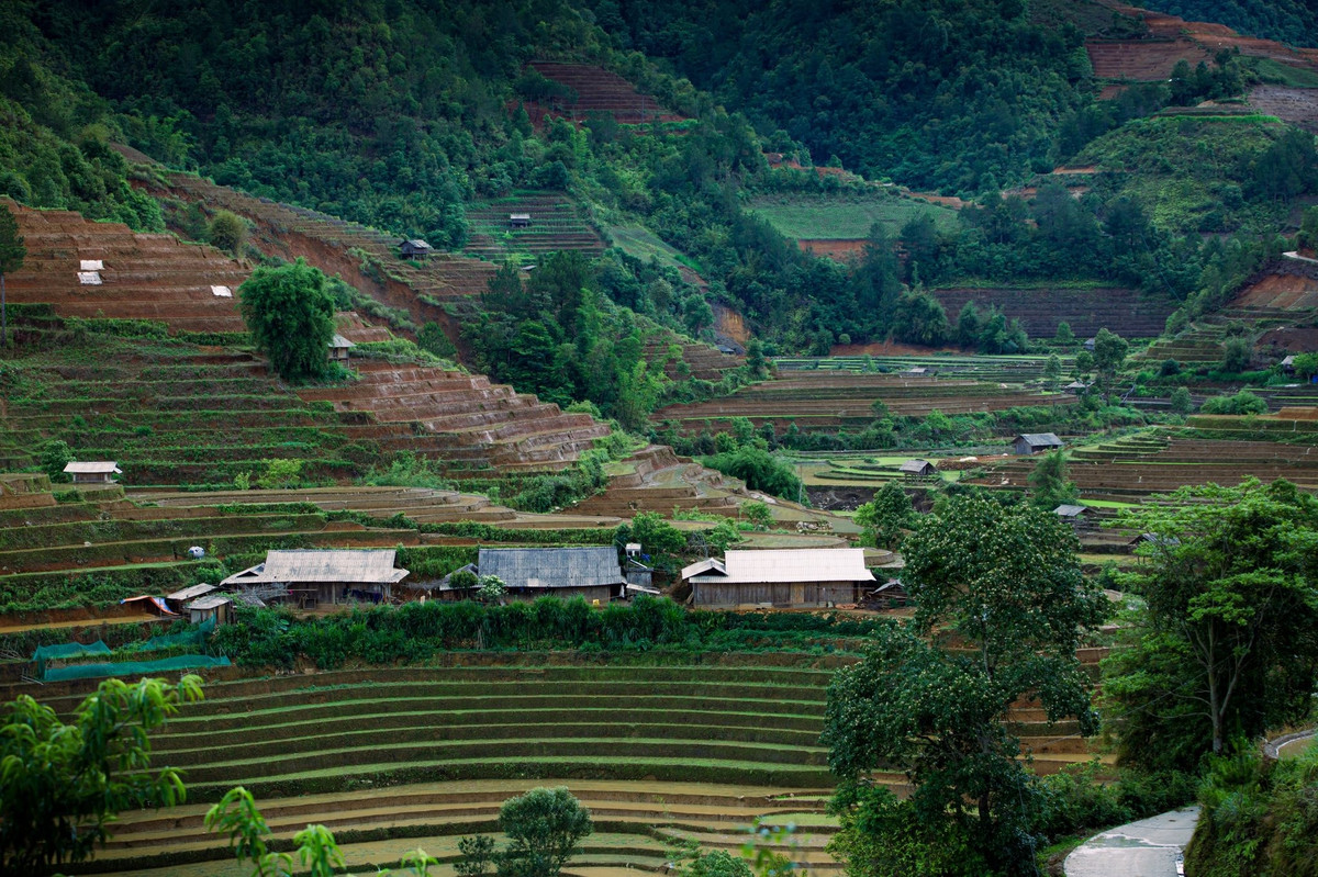 Nước tràn vào các bậc ruộng xếp tầng như nấc thang lên trời, phản chiếu ánh nắng mặt trời tạo nên những mảng màu loang lổ, chuyển sắc theo từng thời khắc trong ngày: sáng sớm bảng lảng sương mờ, trưa ánh bạc lung linh, chiều buông lại ánh lên màu đồng ấm áp. Ảnh Giàng A Chay