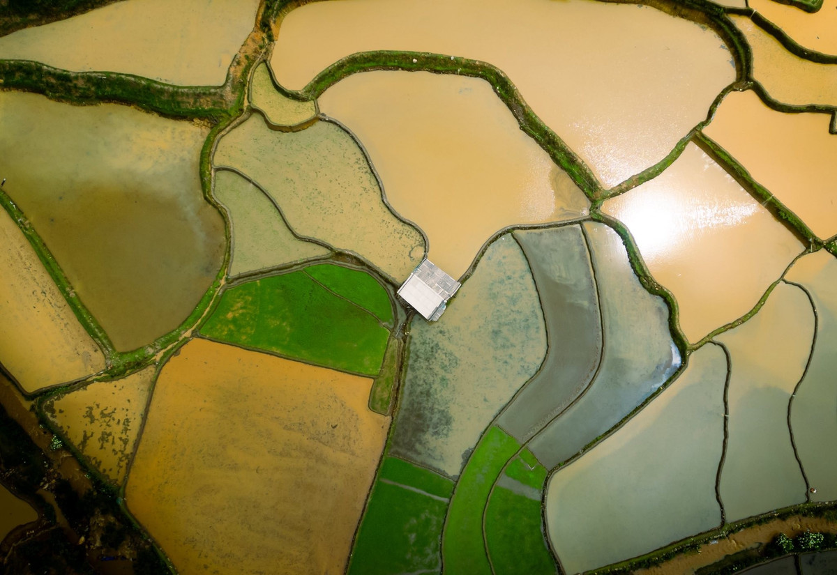 Những thửa ruộng nằm chênh vênh trên triền núi, uốn lượn mềm mại theo địa hình, tạo nên một cảnh quan kỳ vĩ, hấp dẫn bao ống kính của du khách và nhiếp ảnh gia. Ảnh Giàng A Chay