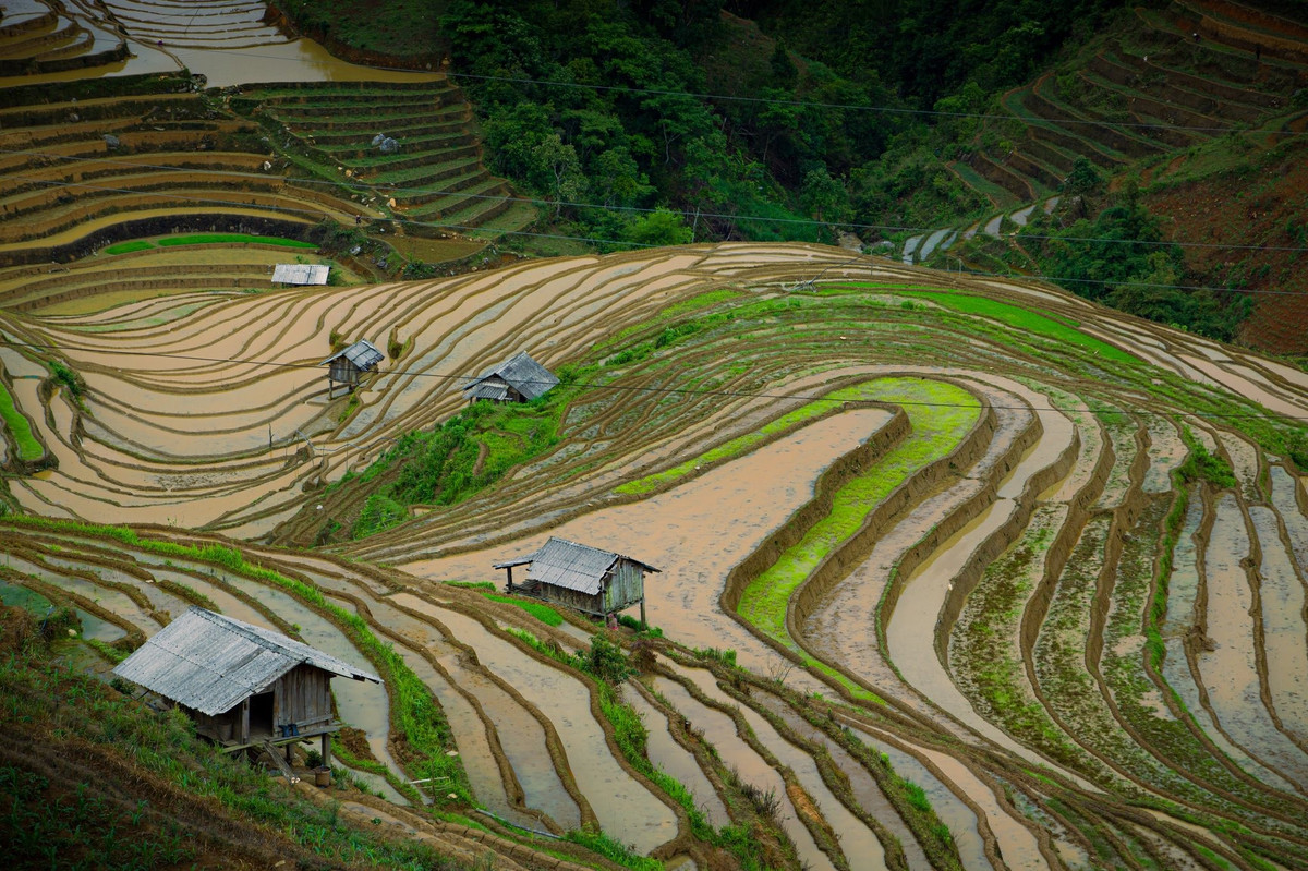Anh Quốc Khánh (du khách Hà Nội) chia sẻ: “Tôi từng đi Mù Cang Chải mùa lúa chín, nhưng mùa nước đổ mới thật sự khiến tôi bất ngờ bởi vẻ đẹp giản dị và thiêng liêng. Nhìn ruộng nước óng ánh giữa thiên nhiên hoang sơ, cảm giác như đang đứng trước một kiệt tác sống động.” Ảnh Giàng A Chay