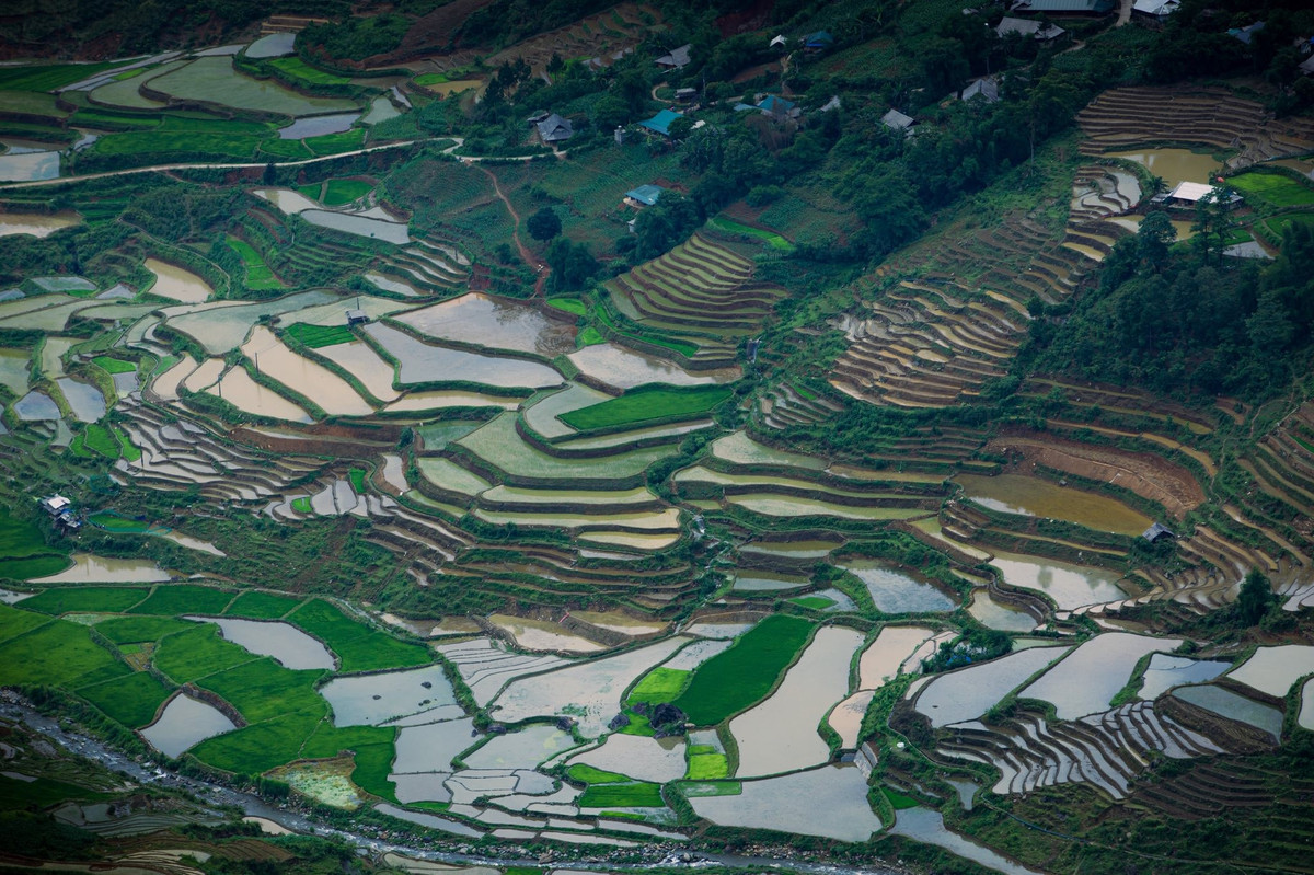 Mù Cang Chải sở hữu nhiều địa điểm tuyệt vời để ngắm ruộng bậc thang mùa nước đổ. La Pán Tẩn nổi tiếng với những thửa ruộng uốn lượn đều tăm tắp, tạo nên cảnh sắc như một tác phẩm điêu khắc “mâm xôi vàng” đầy ấn tượng. Chế Cu Nha mang vẻ đẹp hoang sơ và tĩnh lặng của cao nguyên đá, là nơi lý tưởng để tận hưởng sự bình yên. Dế Xu Phình dù ít du khách nhưng lại là điểm đến lý tưởng cho những ai yêu thích trekking, với con đường đầy thử thách và khung cảnh nguyên sơ, hùng vĩ. Ảnh Giàng A Chay
