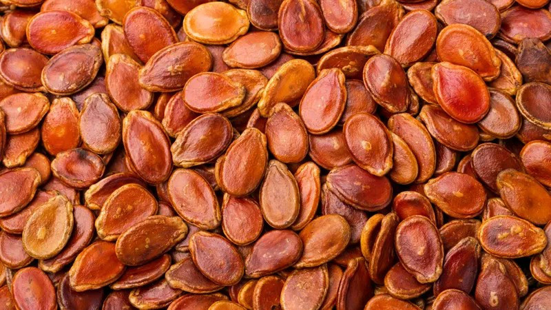 Do đó, bệnh nhân tiểu đường nên hạn chế hoặc tránh ăn hạt dưa để kiểm soát lượng đường trong máu và ngăn ngừa các biến chứng lâu dài. Ảnh minh họa