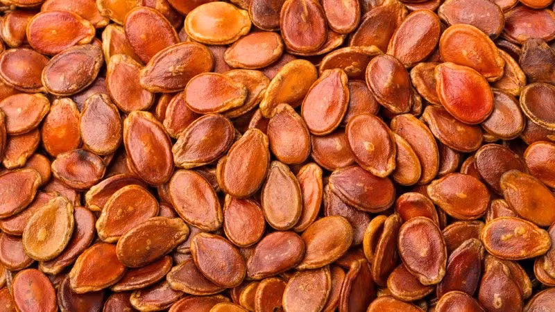 Do đó, bệnh nhân tiểu đường nên hạn chế hoặc tránh ăn hạt dưa để kiểm soát lượng đường trong máu và ngăn ngừa các biến chứng lâu dài. Ảnh minh họa