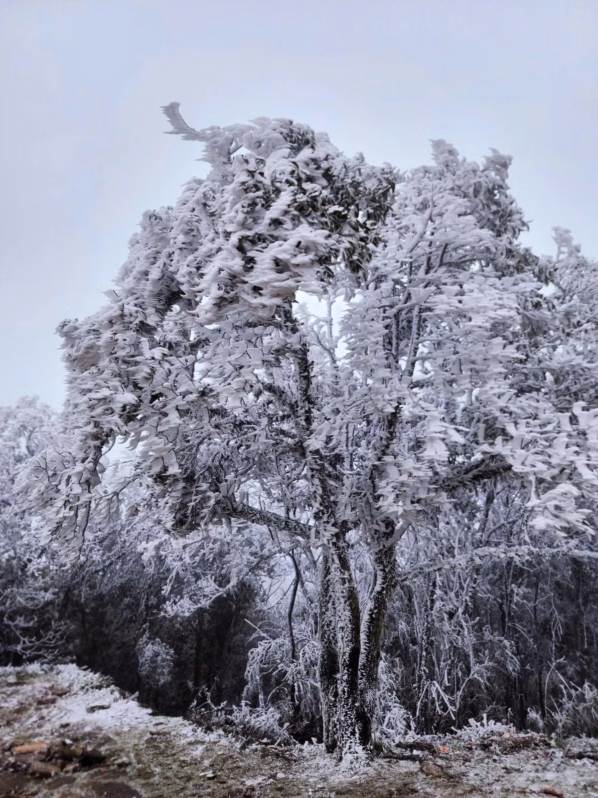 Việc di chuyển trên băng tuyết đòi hỏi sự cẩn trọng tối đa. Du khách được khuyến cáo đi chậm, bước ngắn, không chạy nhảy hay nô đùa trên băng. Những khu vực băng mỏng, băng phủ trên đá hoặc cành cây cần tuyệt đối tránh giẫm lên để hạn chế trơn trượt, té ngã. Nếu di chuyển vào buổi tối hoặc sáng sớm khi sương mù dày, việc mang theo đèn pin, pin dự phòng và đảm bảo điện thoại luôn đầy pin là rất quan trọng, bởi nhiệt độ thấp khiến pin hao nhanh hơn bình thường.