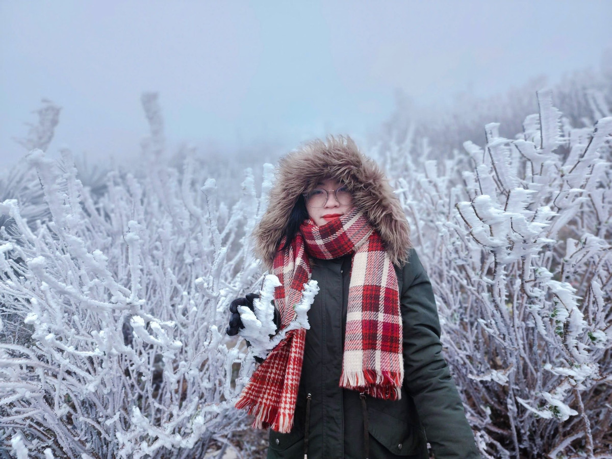 Theo kinh nghiệm của travel blogger Cáo lang thang, thời điểm lý tưởng nhất để chiêm ngưỡng và ghi lại những khoảnh khắc đẹp là sáng sớm, khi nhiệt độ còn thấp và băng tuyết chưa kịp tan. Không ít du khách lựa chọn lên Mẫu Sơn từ đêm hôm trước, nghỉ lại trên đỉnh để sáng hôm sau có thể check-in sớm, tránh cảnh đông đúc và bắt trọn lớp băng dày, sắc nét nhất. Tuy nhiên, do số lượng nhà nghỉ, khách sạn trên đỉnh còn hạn chế, việc đặt phòng không phải lúc nào cũng thuận lợi, thậm chí có người phải ngủ tạm trên ô tô để chờ bình minh. Vì vậy, việc chủ động tìm hiểu trước chỗ ở hoặc chuẩn bị phương án nghỉ ngơi phù hợp là điều rất cần thiết.