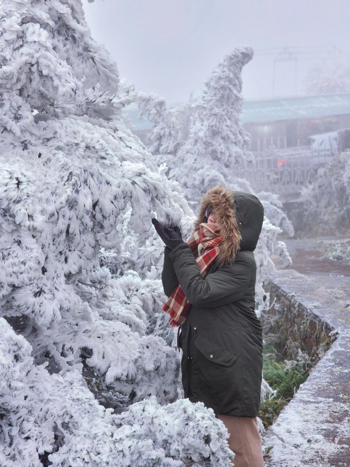 Với những ai có ý định tự lái xe lên đỉnh Mẫu Sơn, cần cân nhắc kỹ năng lái và điều kiện thời tiết. Chỉ những người có tay lái vững mới nên tự điều khiển phương tiện, nếu không, lựa chọn taxi, xe ôm hoặc đi bộ ở các đoạn nguy hiểm sẽ an toàn hơn. Đặc biệt, không nên cố lái xe lên những đoạn dốc có băng đóng dày. Trường hợp đi xe máy, cần về số thấp, giữ khoảng cách xa và tuyệt đối tránh phanh gấp để hạn chế nguy cơ trượt ngã.