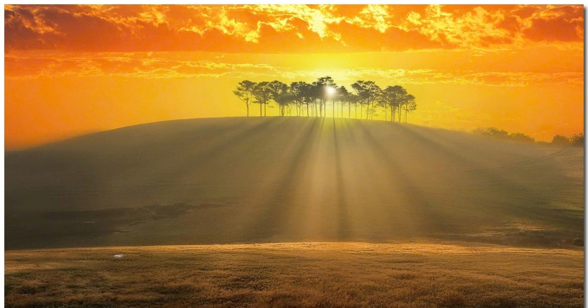 Đồi cỏ Masara, tọa lạc tại thôn Masara, xã Tà Năng, cách trung tâm Đà Lạt khoảng 80 km, trở thành điểm đến lý tưởng cho những ai muốn hòa mình vào thiên nhiên và săn ảnh bình minh. Vào cuối năm, khi tiết trời se lạnh, khô ráo, thảm cỏ hồng trải dài như tấm thảm mềm dưới ánh sáng ban mai, đồi Masara hút đông đảo du khách yêu thích sự yên tĩnh, hoang sơ. Ảnh Sang DL