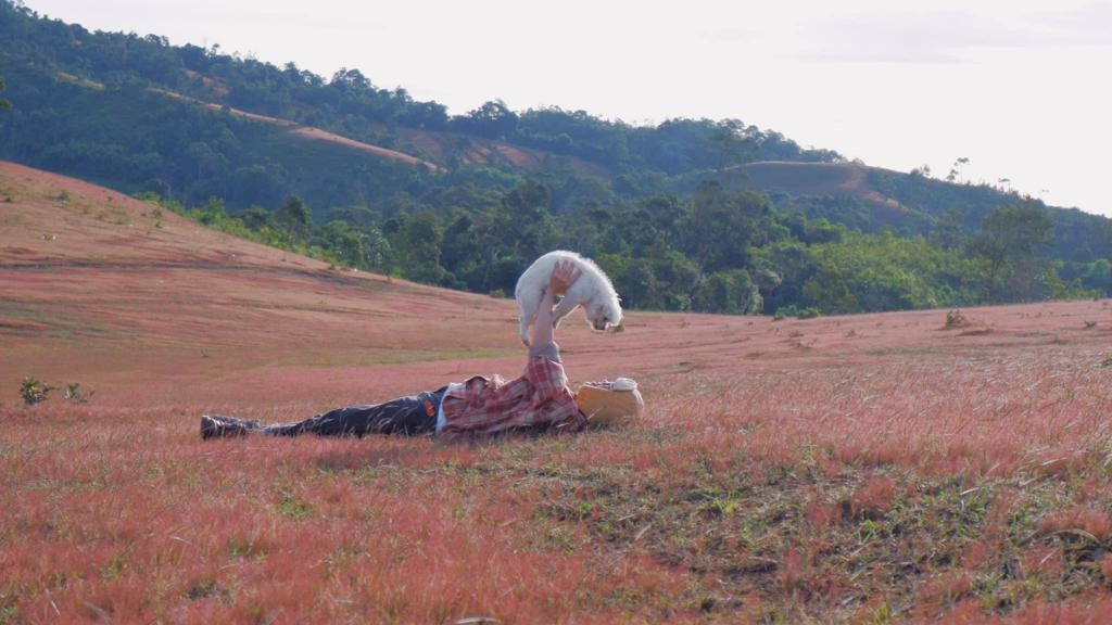 Cỏ hồng là loài cỏ dại thuộc nhóm lá kim, mọc thành từng bụi nhỏ với thân và lá mảnh. So với các địa điểm khác ở Đà Lạt, Masara hút khách nhờ diện tích rộng, thảm cỏ mọc đều và khung cảnh hoang sơ, thuận tiện cho hoạt động cắm trại và săn bình minh. Ảnh CheckinVietnam