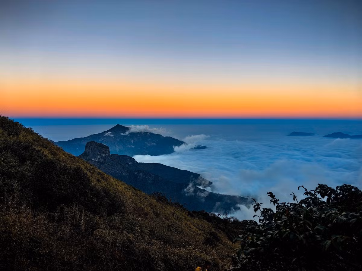 Sang mùa xuân, hoa đỗ quyên nở rộ dọc theo lối đi, tô điểm cho không gian núi rừng rộng lớn. Theo kinh nghiệm của nhiều trekker, tháng 10 đến tháng 3 năm sau là thời điểm lý tưởng để chinh phục Nhìu Cồ San khi thời tiết khô ráo, thuận lợi cho việc di chuyển và ngắm cảnh. Ảnh Van Ngo