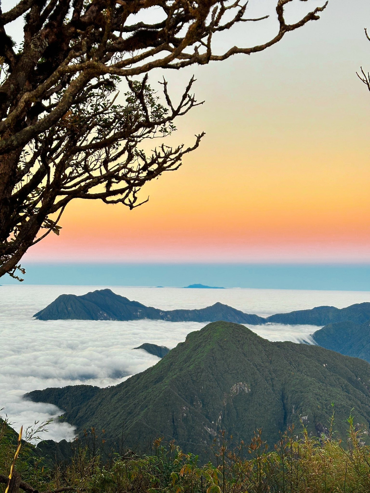 Hành trình lên đỉnh không hề đơn giản: du khách sẽ băng qua những cánh rừng nguyên sinh rậm rạp, vượt suối, leo dốc cao và men theo những con đường mòn cheo leo. Trước khi xuất phát, việc chuẩn bị kỹ lưỡng ba lô chống nước, giày leo núi, quần áo giữ ấm, đèn pin, nước uống và thực phẩm bổ sung năng lượng là điều hết sức cần thiết để đảm bảo an toàn và tận hưởng hành trình trọn vẹn. Ảnh Yến Yến