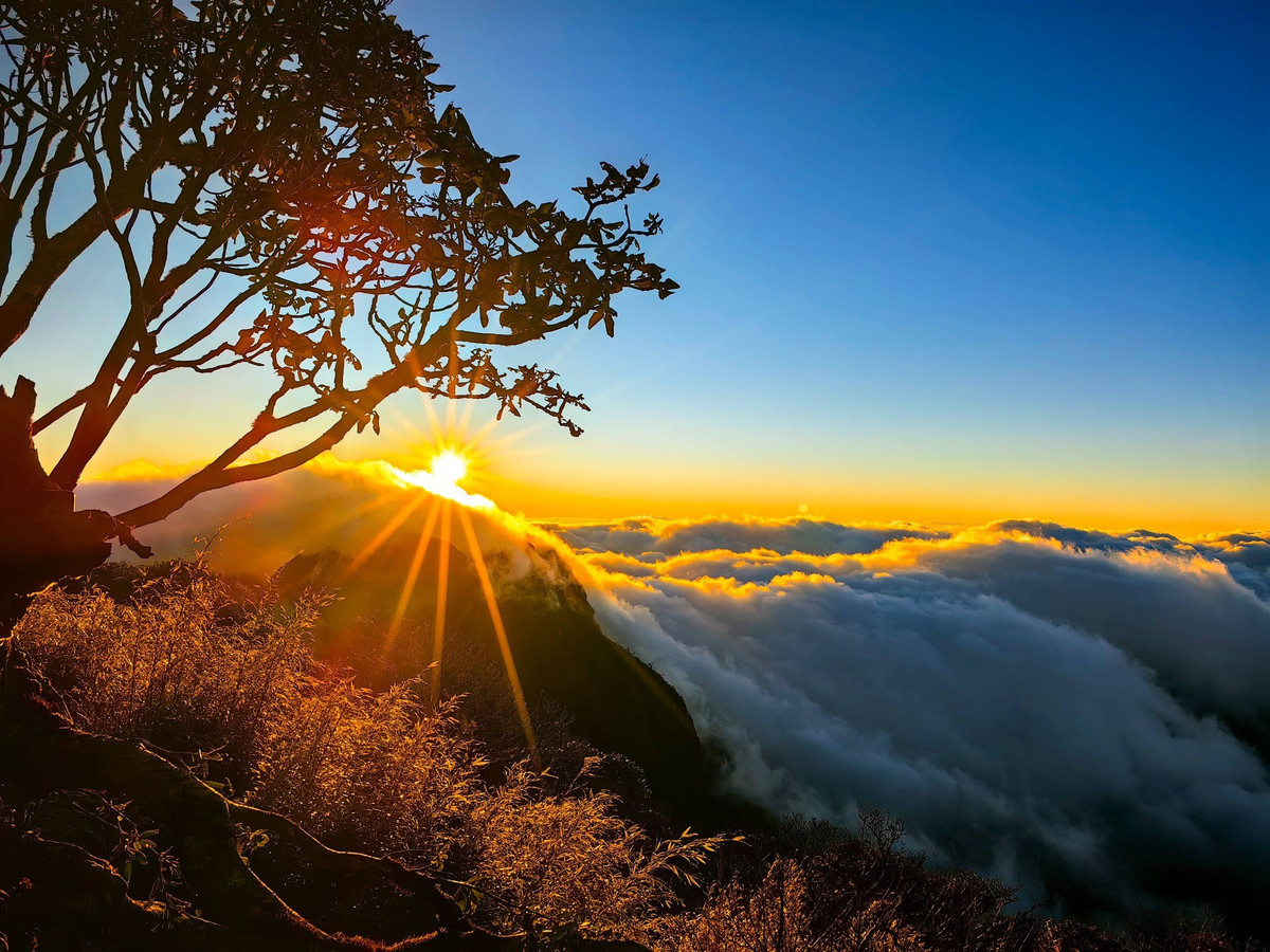 Nhìu Cồ San ngọn núi cao 2.965 m nằm ở xã Dền Sáng, tỉnh Lào Cai luôn là đích đến hấp dẫn đối với những người mê trekking và nhiếp ảnh thiên nhiên. Với phong cảnh hoang sơ, địa hình đa dạng và biển mây trắng xóa phủ lên những sườn núi hùng vĩ, nơi đây được nhiều trekker coi là một trong những cung đường đẹp nhất Tây Bắc. Ảnh Van Ngo