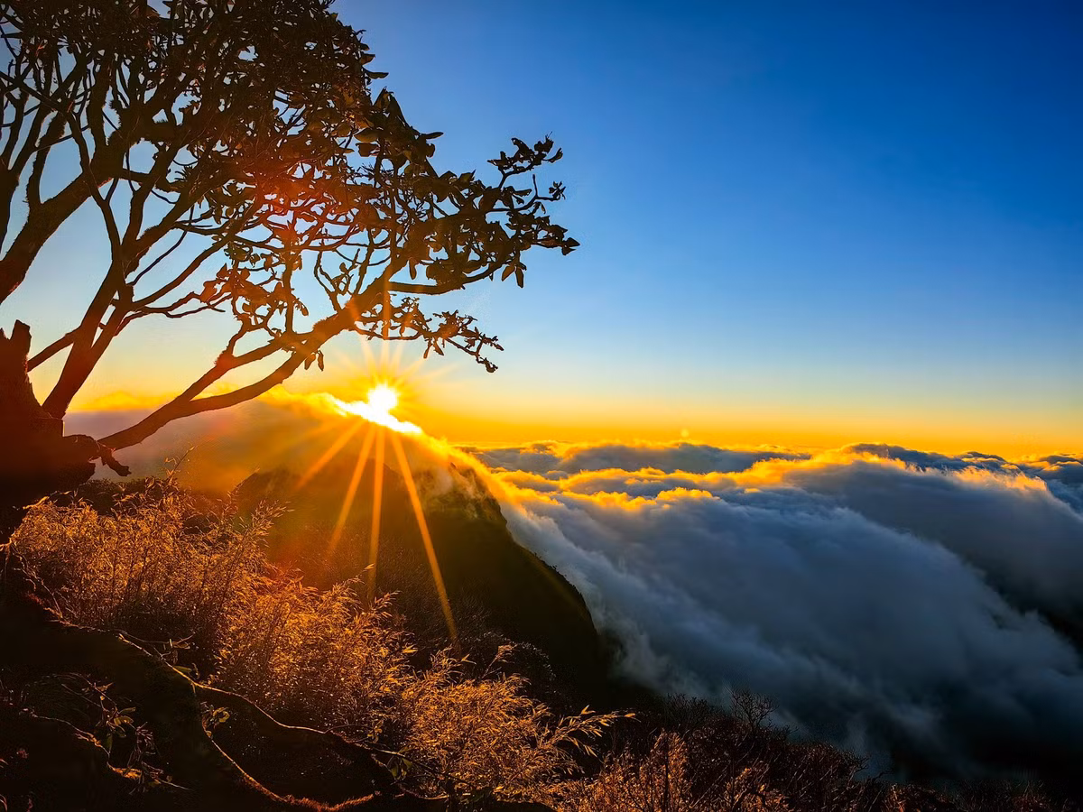 Nhìu Cồ San ngọn núi cao 2.965 m nằm ở xã Dền Sáng, tỉnh Lào Cai luôn là đích đến hấp dẫn đối với những người mê trekking và nhiếp ảnh thiên nhiên. Với phong cảnh hoang sơ, địa hình đa dạng và biển mây trắng xóa phủ lên những sườn núi hùng vĩ, nơi đây được nhiều trekker coi là một trong những cung đường đẹp nhất Tây Bắc. Ảnh Van Ngo