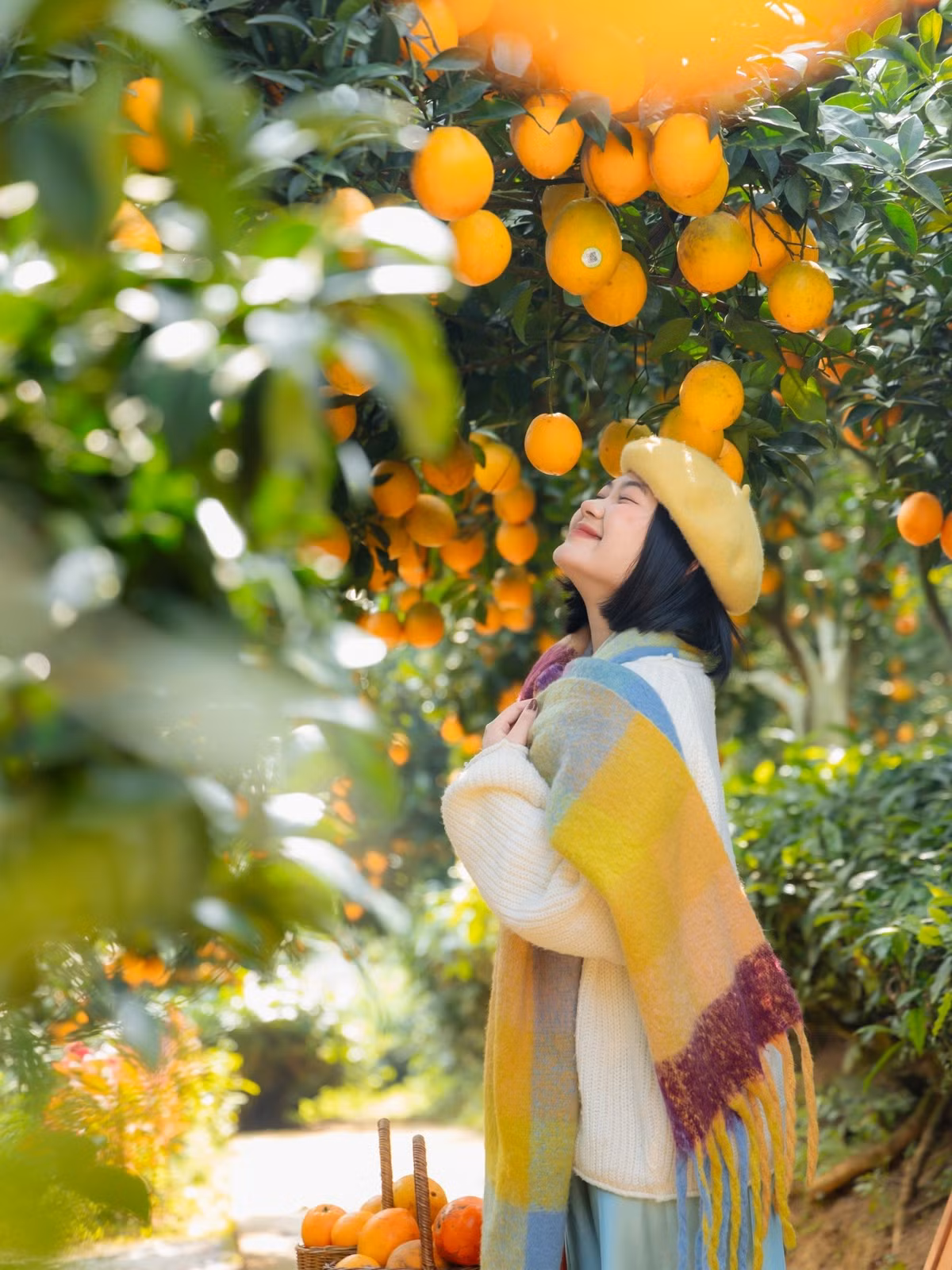 Ngoài cảnh sắc tự nhiên, Mộc Châu còn hấp dẫn du khách với nhiều địa điểm tham quan độc đáo. Rừng thông Bản Áng rộng hơn 43 ha, chỉ cách trung tâm thị trấn 2 km, là điểm lý tưởng để cắm trại, dạo chơi hay chụp ảnh. Thung lũng mận Mu Náu giữ nguyên vẻ hoang sơ, nơi du khách có thể hái mận tại gốc, trải nghiệm cuộc sống nông thôn.