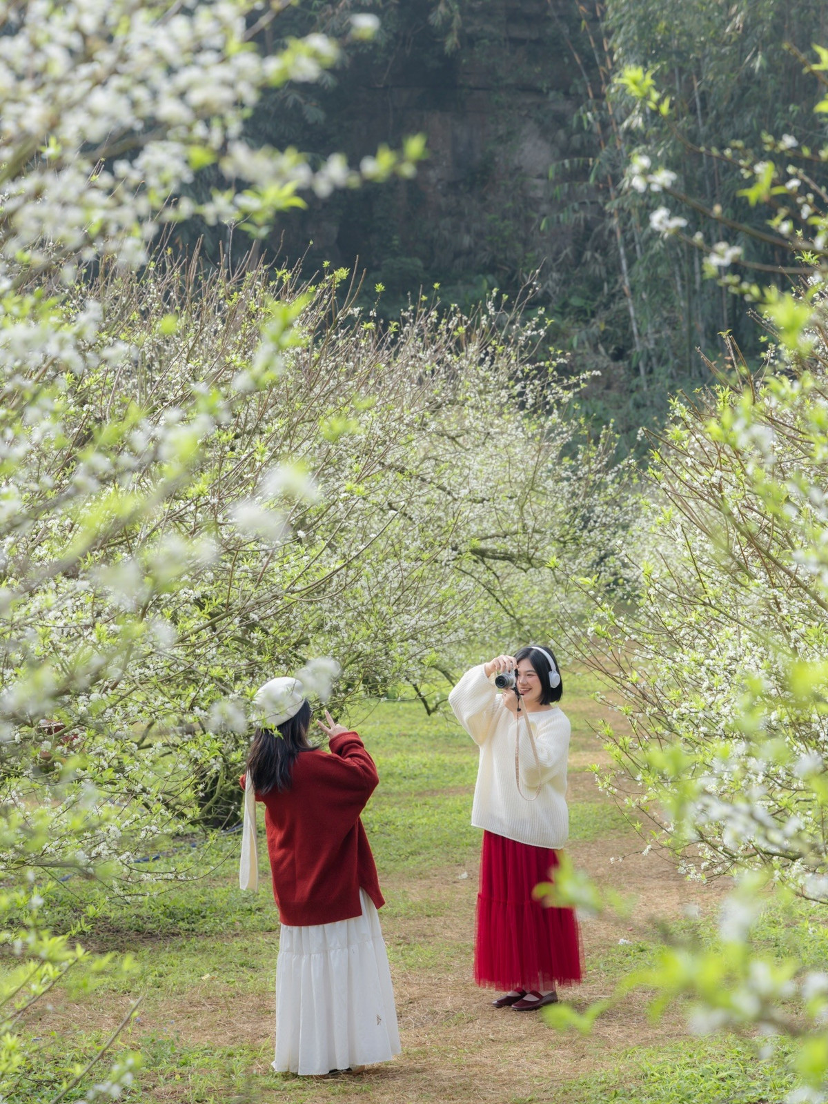 Giải thưởng Du lịch Thế giới (World Travel Awards – WTA) 2025 tiếp tục gọi tên Việt Nam ở hạng mục “Điểm đến Di sản hàng đầu thế giới”, khẳng định sức hút bền vững của quốc gia với kho tàng di sản phong phú. Không chỉ sở hữu 9 di sản thế giới, Việt Nam còn có nhiều di tích lịch sử, danh thắng và di sản văn hóa phi vật thể, tạo nên bức tranh du lịch đa dạng, thu hút du khách trong và ngoài nước.