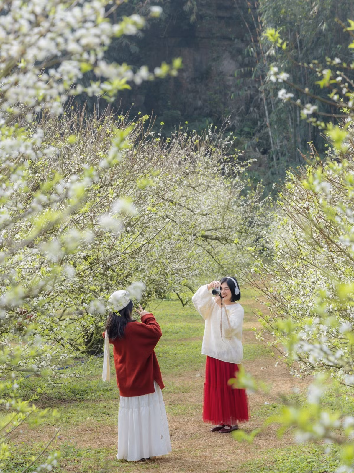 Giải thưởng Du lịch Thế giới (World Travel Awards – WTA) 2025 tiếp tục gọi tên Việt Nam ở hạng mục “Điểm đến Di sản hàng đầu thế giới”, khẳng định sức hút bền vững của quốc gia với kho tàng di sản phong phú. Không chỉ sở hữu 9 di sản thế giới, Việt Nam còn có nhiều di tích lịch sử, danh thắng và di sản văn hóa phi vật thể, tạo nên bức tranh du lịch đa dạng, thu hút du khách trong và ngoài nước.