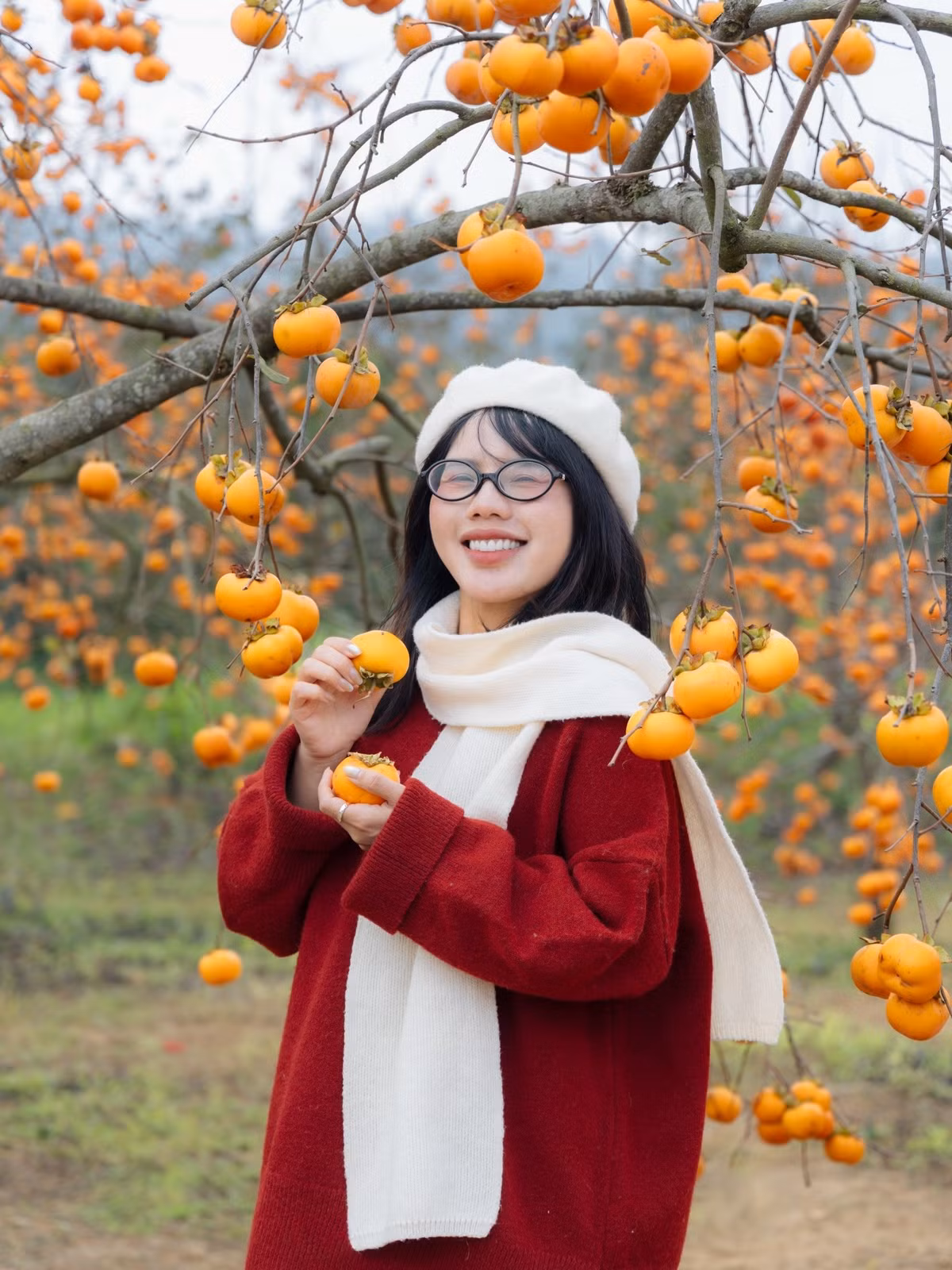 Vườn hoa hướng dương ẩn mình trong thung lũng mang đến không gian check-in mới lạ, hoa nở rộ từ đầu tháng 5. Các đồi chè xanh mướt trải dài khắp cao nguyên, nổi bật với đồi chè chữ S, đồi chè trái tim hay nông trường Mộc Châu, tạo nên điểm nhấn đặc trưng cho vùng đất này.