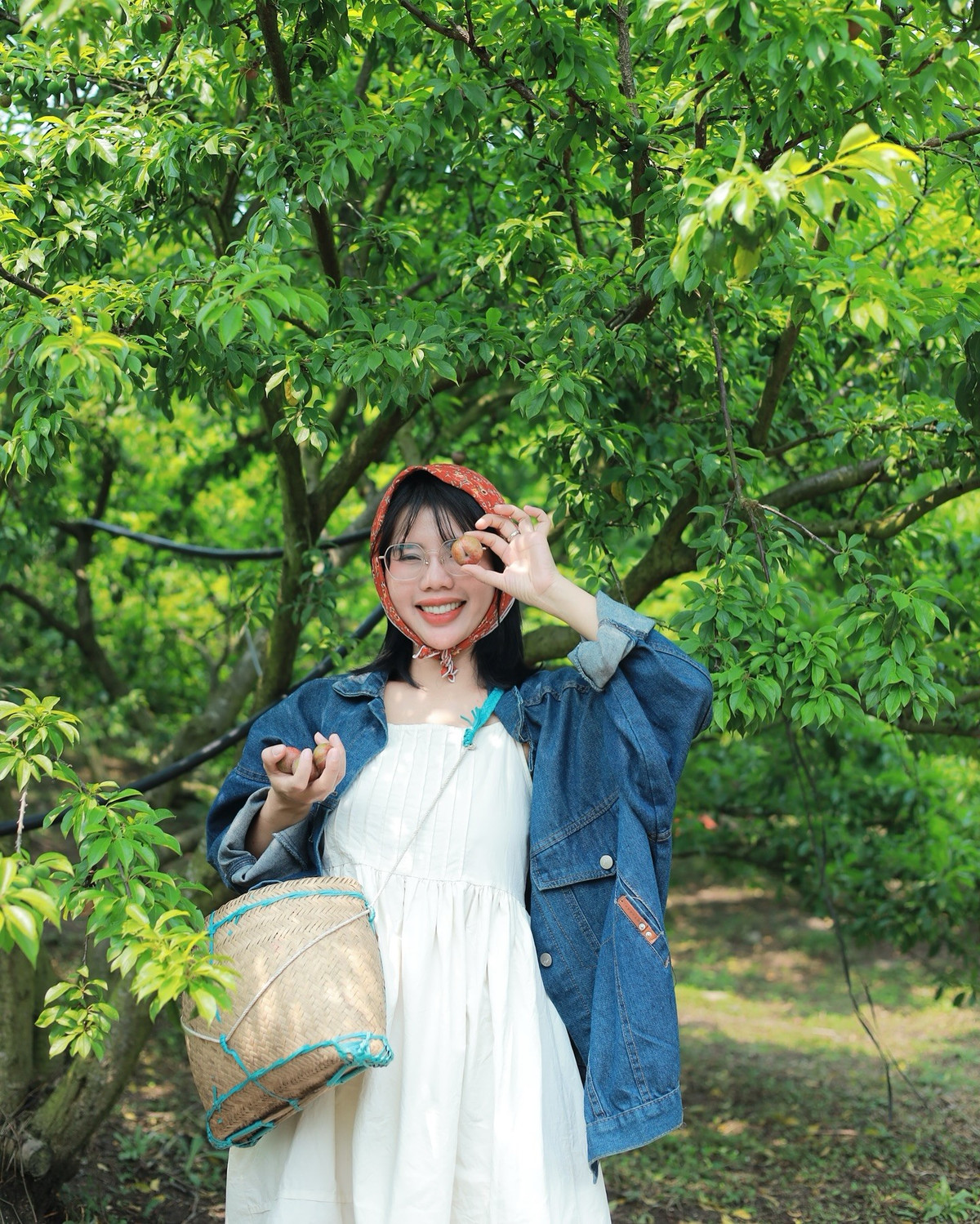 Mộc Châu hấp dẫn du khách bởi các món truyền thống như bê chao, cá suối, cá lăng, thịt trâu gác bếp, đến lẩu cá hồi, tiết canh heo, rau chấm sốt lòng cá hay cơm ngũ sắc. Các sản phẩm địa phương như mận, sữa tươi, trà Mộc Châu cũng là đặc sản không thể bỏ qua, vừa ngon vừa bổ dưỡng, làm trọn trải nghiệm khám phá cao nguyên.