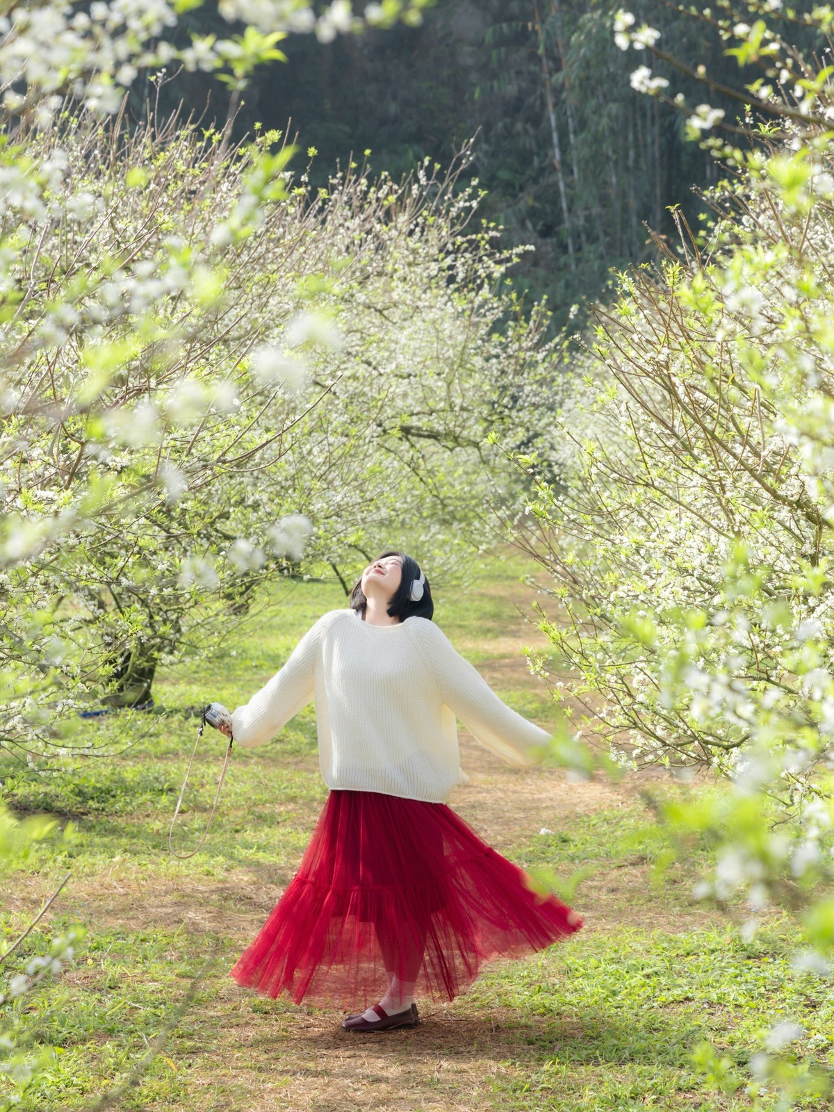 Mùa hè, cao nguyên vẫn cuốn hút nhờ không khí trong lành và nhiều hoạt động dã ngoại giữa thiên nhiên. Từ tháng 8 đến cuối năm, Mộc Châu khoác lên mình sắc đỏ của hồng giòn, hồng chát, trắng tinh khôi của hoa cải và vàng rực rỡ của dã quỳ, khiến cảnh quan luôn thay đổi, mang lại trải nghiệm mới lạ cho mỗi chuyến đi.