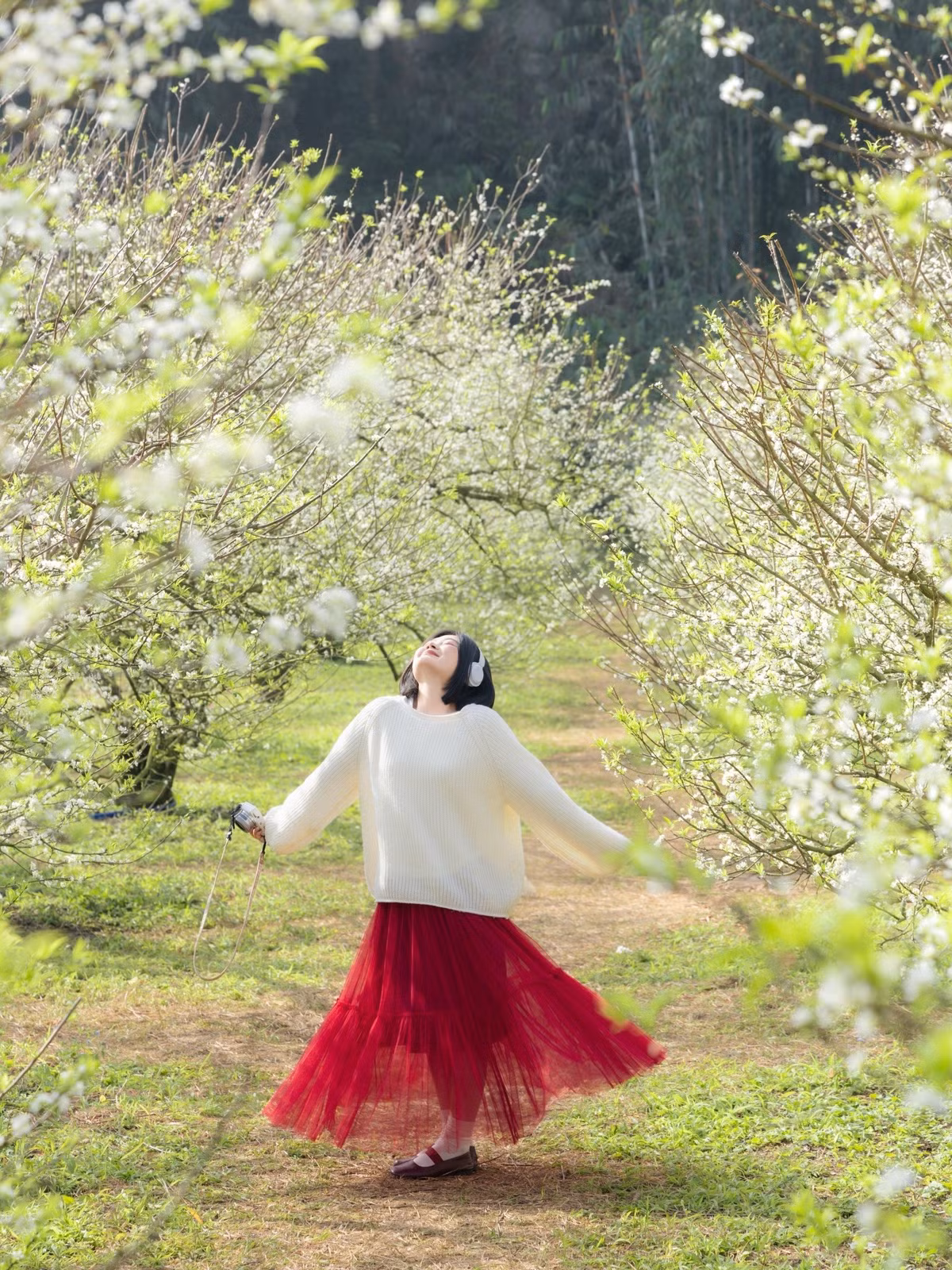 Mùa hè, cao nguyên vẫn cuốn hút nhờ không khí trong lành và nhiều hoạt động dã ngoại giữa thiên nhiên. Từ tháng 8 đến cuối năm, Mộc Châu khoác lên mình sắc đỏ của hồng giòn, hồng chát, trắng tinh khôi của hoa cải và vàng rực rỡ của dã quỳ, khiến cảnh quan luôn thay đổi, mang lại trải nghiệm mới lạ cho mỗi chuyến đi.