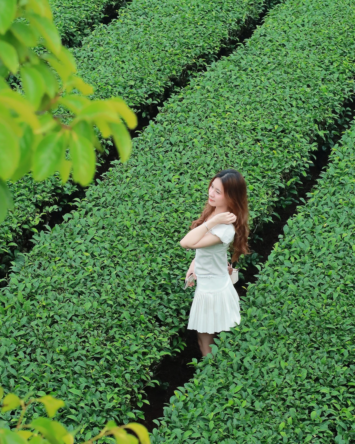 Ngoài thưởng thức ẩm thực, du khách còn có thể trải nghiệm các hoạt động nông trại, tham quan cơ sở chế biến sữa, tham gia lễ hội mùa hoa mận hay tìm hiểu đời sống cộng đồng dân tộc Thái, Mông, Khơ Mú. Sự kết hợp giữa thiên nhiên nguyên sơ và văn hóa địa phương tạo nên những trải nghiệm khó quên cho mỗi hành trình.