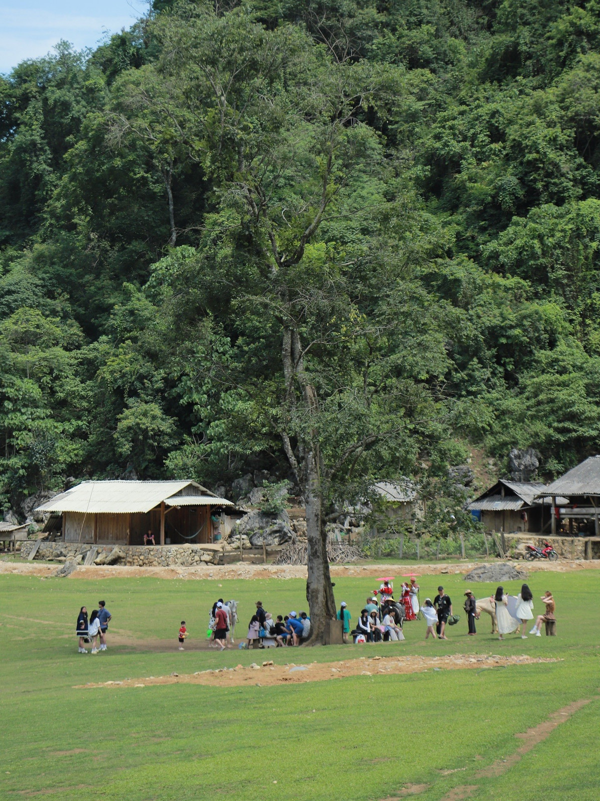 Với cảnh quan bốn mùa riêng biệt, khí hậu mát mẻ và nhiều trải nghiệm độc đáo, Mộc Châu ngày càng khẳng định vị trí trên bản đồ du lịch quốc tế. Từ hoa mận trắng đầu năm đến dã quỳ vàng cuối năm, từ đồi chè xanh mướt đến làng bản hoang sơ, mỗi chuyến đi đều đem lại cảm giác mới lạ, khiến du khách muốn trở lại lần nữa. Chính nhờ sự đa dạng này, Mộc Châu không chỉ là điểm đến lý tưởng cho những chuyến đi ngắn ngày từ Hà Nội mà còn là “viên ngọc” Tây Bắc được thế giới gọi tên nhiều lần, ghi dấu ấn khó phai trong lòng du khách.