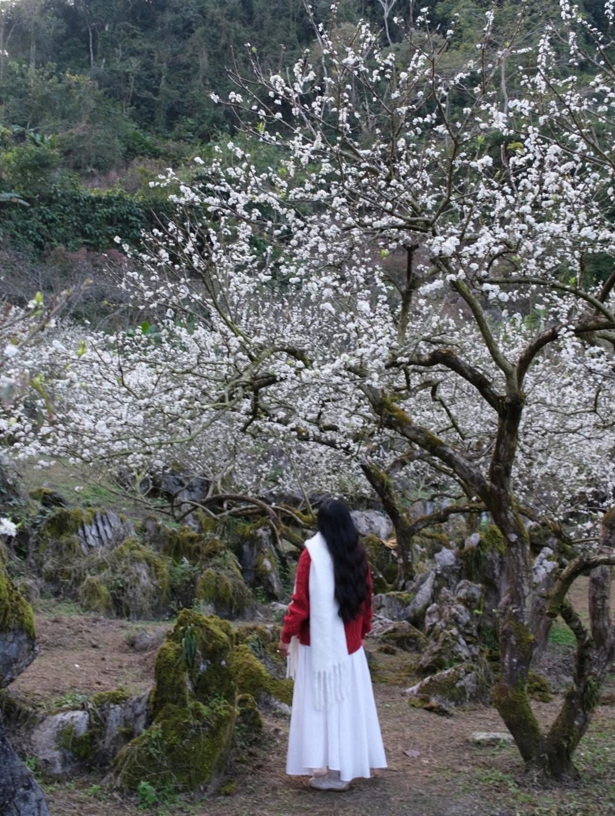 Trải nghiệm chi tiết này được bạn Đỗ Vân Anh chia sẻ, từ lịch trình tham quan, nơi ở đến ẩm thực địa phương, giúp du khách có thể tham khảo để lên kế hoạch cho chuyến đi của mình.