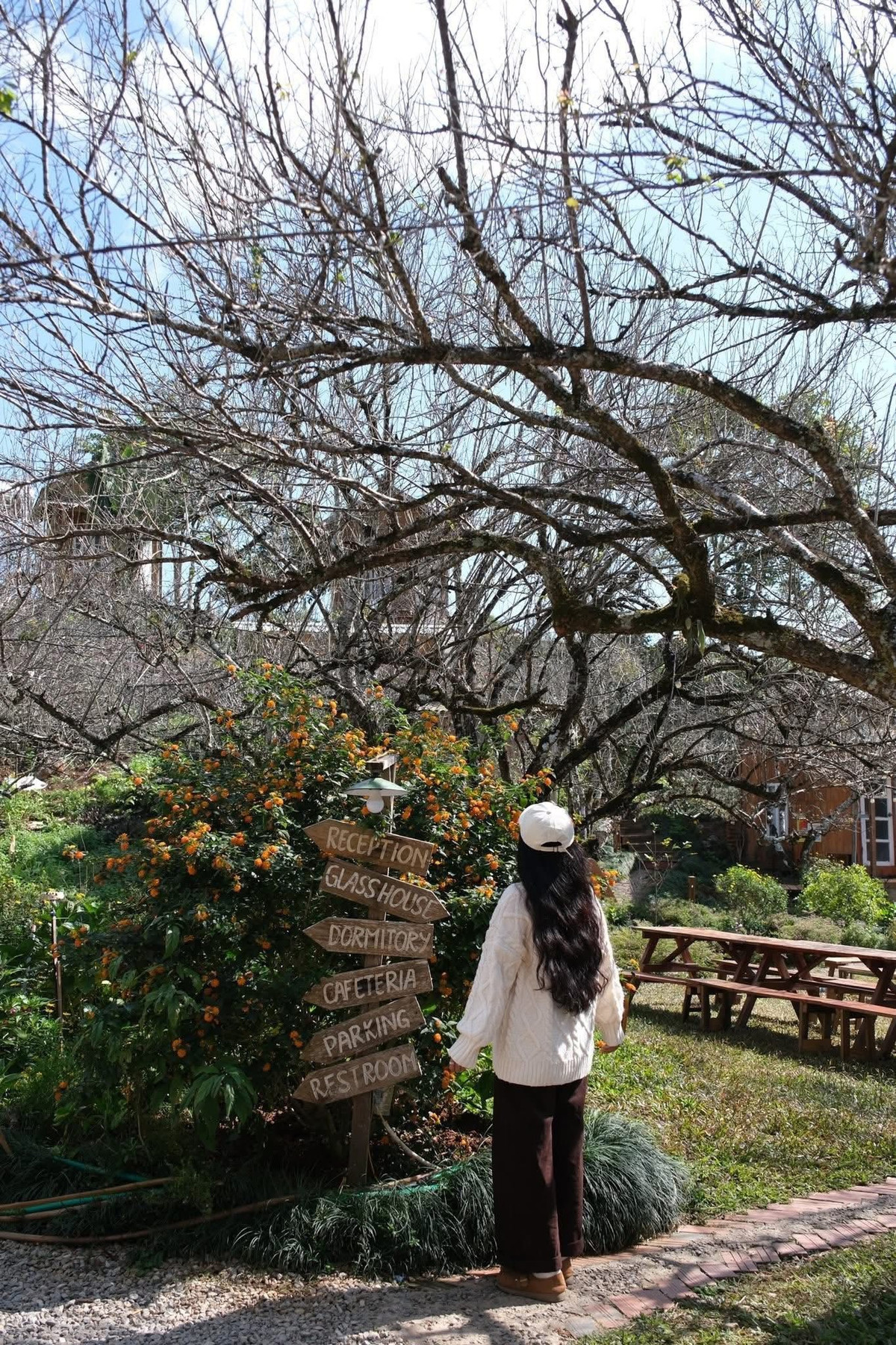 Sau bữa trưa, nghỉ ngơi tại homestay trước khi khám phá vườn hoa mận và vườn hồng tại Bản Mộc Farm. Hai vườn nằm gần nhau, thuận tiện để tham quan cùng một buổi chiều, đường đi dễ dàng cho xe máy. Buổi tối, trở về homestay, du khách có thể thưởng thức nướng hoặc lẩu dưới tán cây, tạo nên trải nghiệm ẩm thực ngoài trời độc đáo.