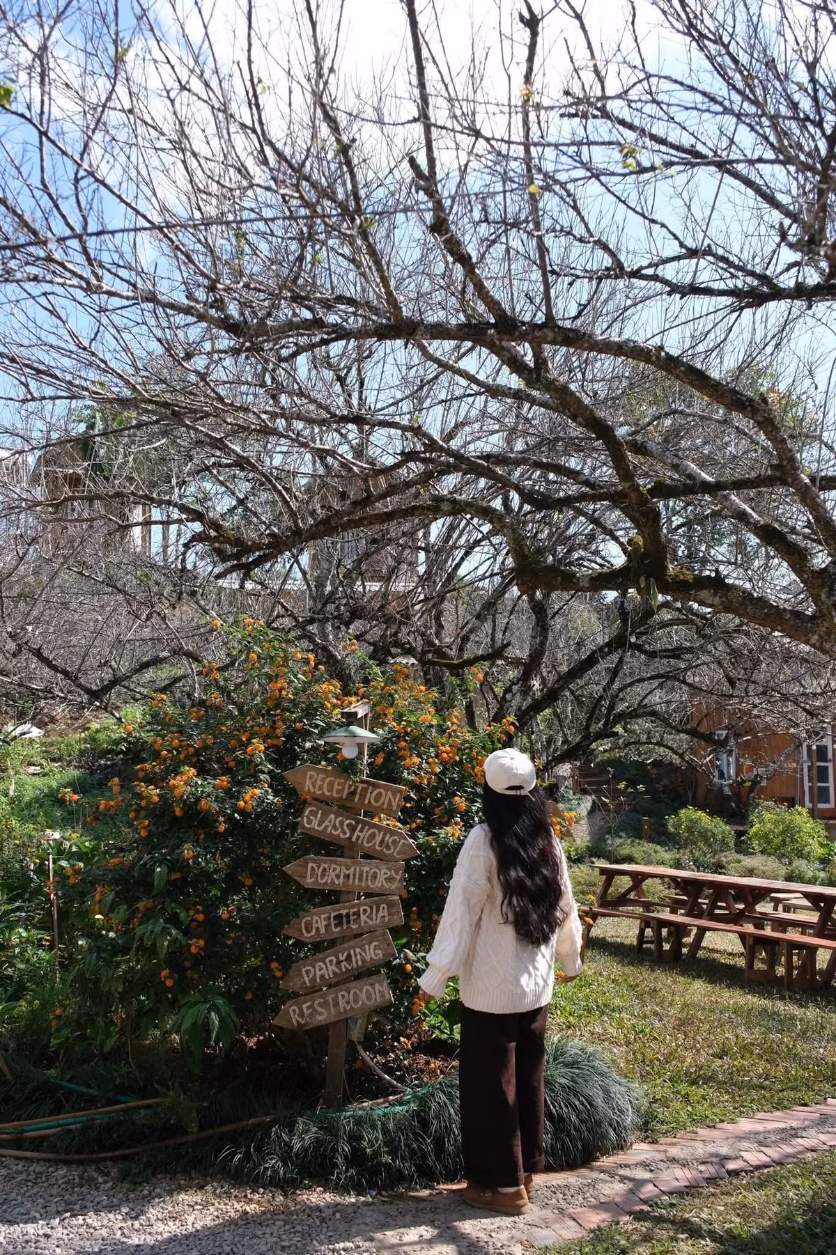 Sau bữa trưa, nghỉ ngơi tại homestay trước khi khám phá vườn hoa mận và vườn hồng tại Bản Mộc Farm. Hai vườn nằm gần nhau, thuận tiện để tham quan cùng một buổi chiều, đường đi dễ dàng cho xe máy. Buổi tối, trở về homestay, du khách có thể thưởng thức nướng hoặc lẩu dưới tán cây, tạo nên trải nghiệm ẩm thực ngoài trời độc đáo.