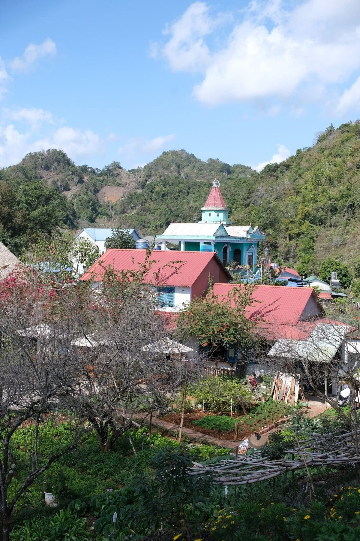 Xuất phát từ Hà Nội, du khách lựa chọn xe limousine Xuân Tráng, có dịch vụ đón – trả tận nơi, giúp tiết kiệm thời gian di chuyển. Sau khoảng 4–5 giờ, đoàn đến Mộc Châu vào khoảng 10h30 và gửi hành lý tại Mama’s House – homestay nằm dưới những tán hoa mận, hoa mơ đang bắt đầu nở rộ. Tại đây, du khách cũng có thể thuê xe máy để tiện di chuyển khắp Mộc Châu.