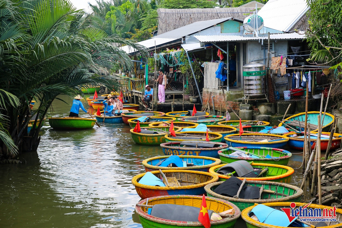Hành trình kéo dài khoảng hai giờ đưa du khách trôi nhẹ trên mặt nước phẳng lặng, nghe những câu hò, điệu lý xứ Quảng vang lên giữa không gian sông nước. Du khách còn được tận mắt xem cảnh người dân thả lưới bắt cá, thử câu cua, câu cá ngay dưới những bụi dừa nước, hoặc thưởng thức màn biểu diễn quay thúng đầy phấn khích. Ảnh Báo Vietnamnet