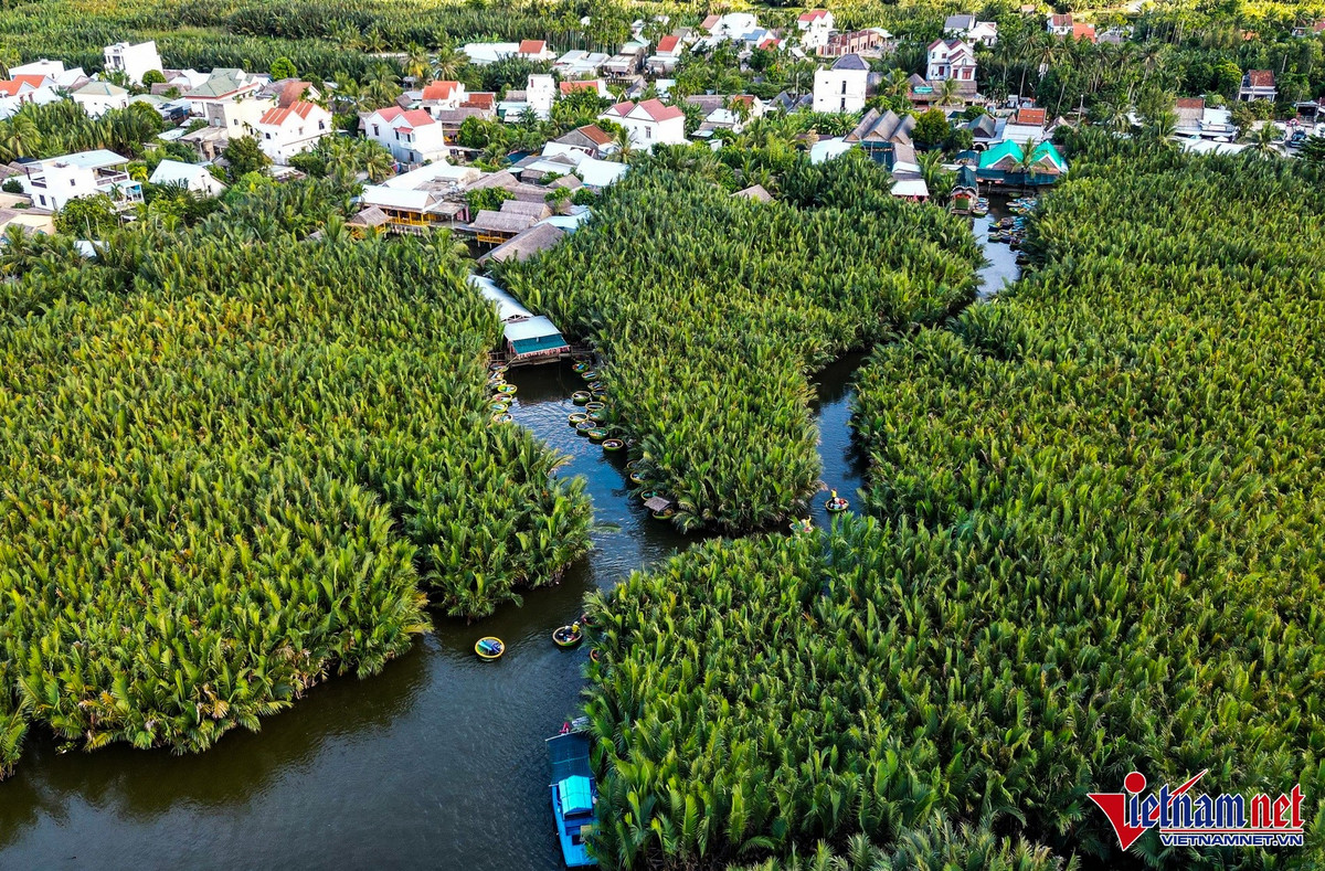 Một trong những trải nghiệm được du khách yêu thích nhất khi đến Cẩm Thanh là ngồi thuyền thúng len lỏi qua các con lạch nhỏ dưới tán dừa xanh mát. Ảnh Báo Vietnamnet