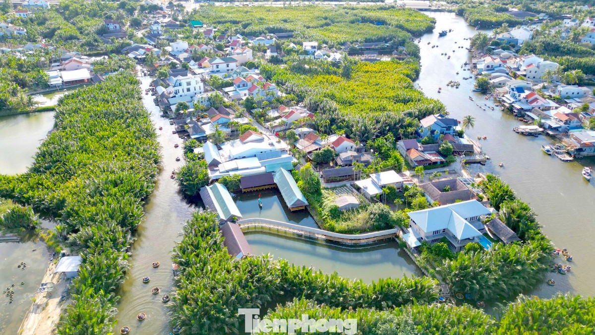 Lợi thế lớn nhất của Cẩm Thanh nằm ở vị trí giao thoa hiếm có của ba con sông lớn: Thu Bồn, Trường Giang và Lộ Cảnh Giang trước khi hòa mình ra Biển Đông. Nhờ đó, khu vực này hình thành hệ sinh thái nước lợ đặc trưng với tổng diện tích hơn 900ha, trong đó mạng lưới kênh rạch và mặt nước chiếm trên 300ha, tạo điều kiện lý tưởng cho rừng dừa nước phát triển. Ảnh Báo Tiền Phong