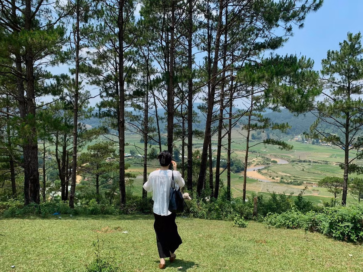 Điểm nhấn của khung cảnh nơi đây là hệ thống ruộng bậc thang uốn lượn quanh các triền đồi, đặc biệt rực rỡ vào mùa nước đổ (khoảng tháng 5–6) khi ánh mặt trời phản chiếu xuống mặt ruộng, tạo nên hiệu ứng gương trời độc đáo. Mùa lúa chín (tháng 9–10) cũng là thời điểm lý tưởng để ghé thăm, khi toàn bộ không gian được phủ một lớp vàng óng rực rỡ. Ảnh Mangdenchill