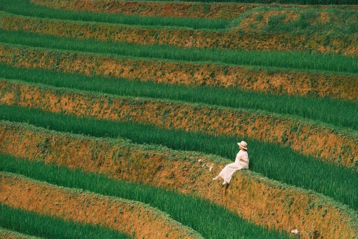 Vào buổi sáng sớm, khi sương còn phủ trắng mái nhà, du khách có thể theo chân bà con ra đồng, quan sát cách họ làm cỏ, chăm mạ – những công việc lặp đi lặp lại mỗi năm nhưng vẫn đầy yêu thương và kiên nhẫn. Ảnh Diệp Hữu Đạt