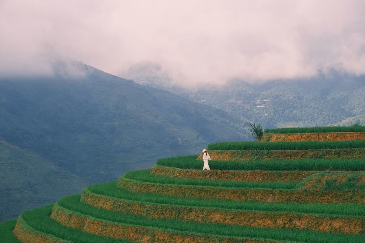 Để đến được Xím Vàng, du khách thường xuất phát từ Hà Nội, đi xe khách hoặc ô tô cá nhân tới trung tâm huyện Bắc Yên (Sơn La), sau đó tiếp tục vượt cung đường núi khoảng 25 km để lên bản. Ảnh Diệp Hữu Đạt