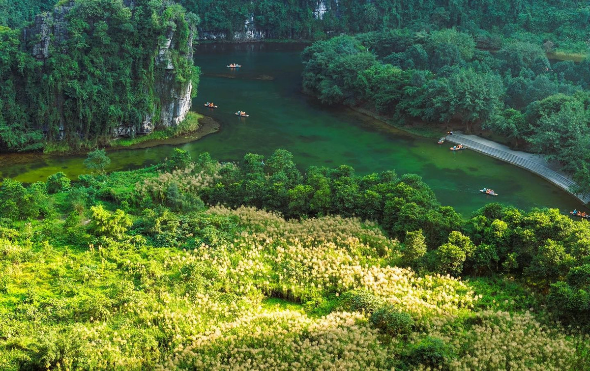 Những ngày cuối năm, Tràng An (Ninh Bình) như khoác lên mình tấm áo trắng tinh khôi khi hoa lau sậy bung nở, biến quần thể danh thắng vốn nổi tiếng thành một bức tranh thiên nhiên huyền ảo.