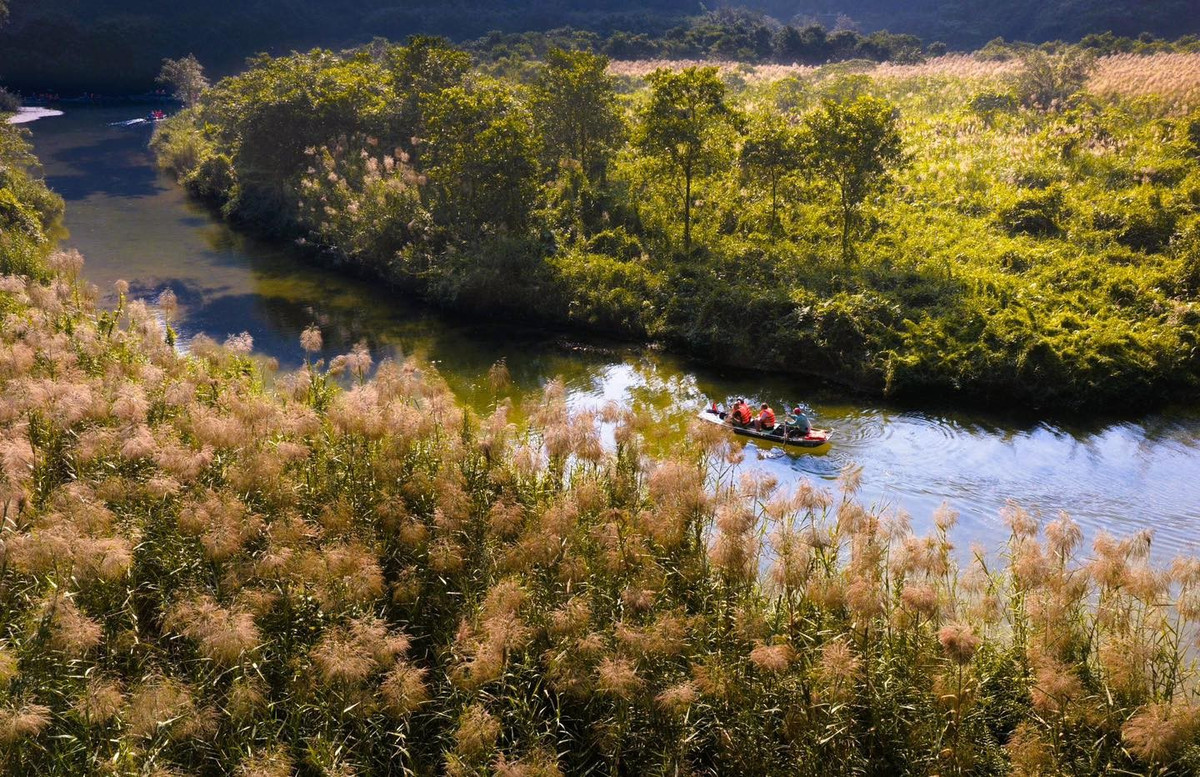 Từng thung lũng, bãi bồi, con đường dọc triền núi đá vôi đều được nhuộm trắng, bồng bềnh tựa những đám mây mềm mại hạ xuống mặt đất.