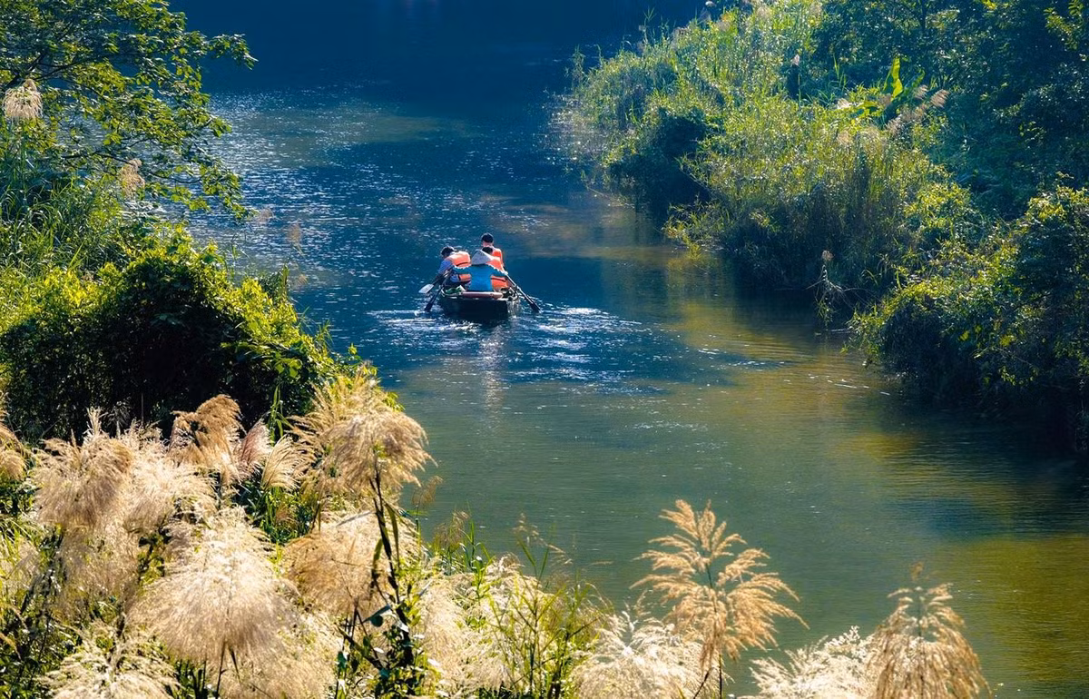 Nhiều du khách khi đến đây đều bày tỏ sự ngỡ ngàng trước vẻ đẹp bình dị nhưng đầy cuốn hút của mùa hoa, một trải nghiệm hiếm nơi nào có được trong mùa đông Việt Nam.
