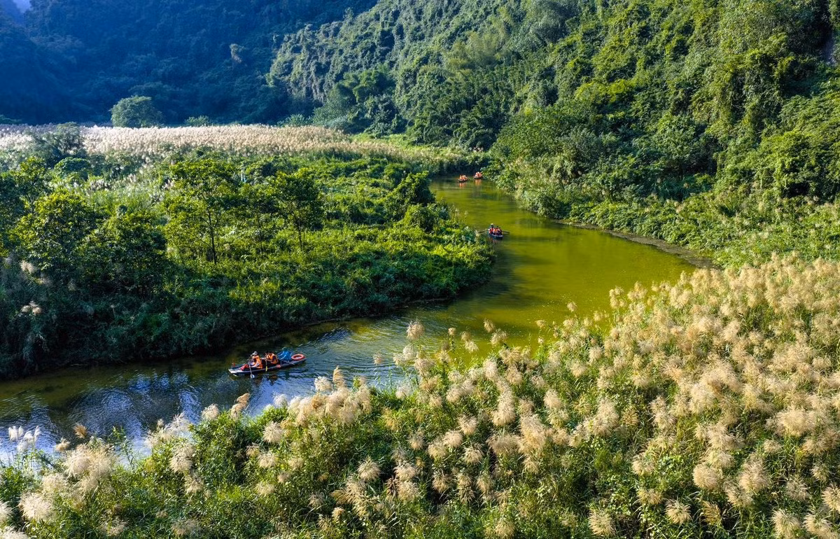 Mỗi cánh lau lay động trong gió, phản chiếu ánh nắng đầu ngày, tạo nên khung cảnh vừa thanh bình vừa tràn đầy sức sống. Sắc trắng tinh khôi của hoa nổi bật trên nền xanh của núi rừng và mặt nước, khiến du khách như lạc vào một miền cổ tích giữa đời thực.