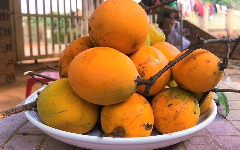 Dù giá không rẻ, loại quả này vẫn được nhiều người tìm mua để thưởng thức vì tò mò và muốn trải nghiệm hương vị đặc sản vùng rừng núi. Ảnh BHX