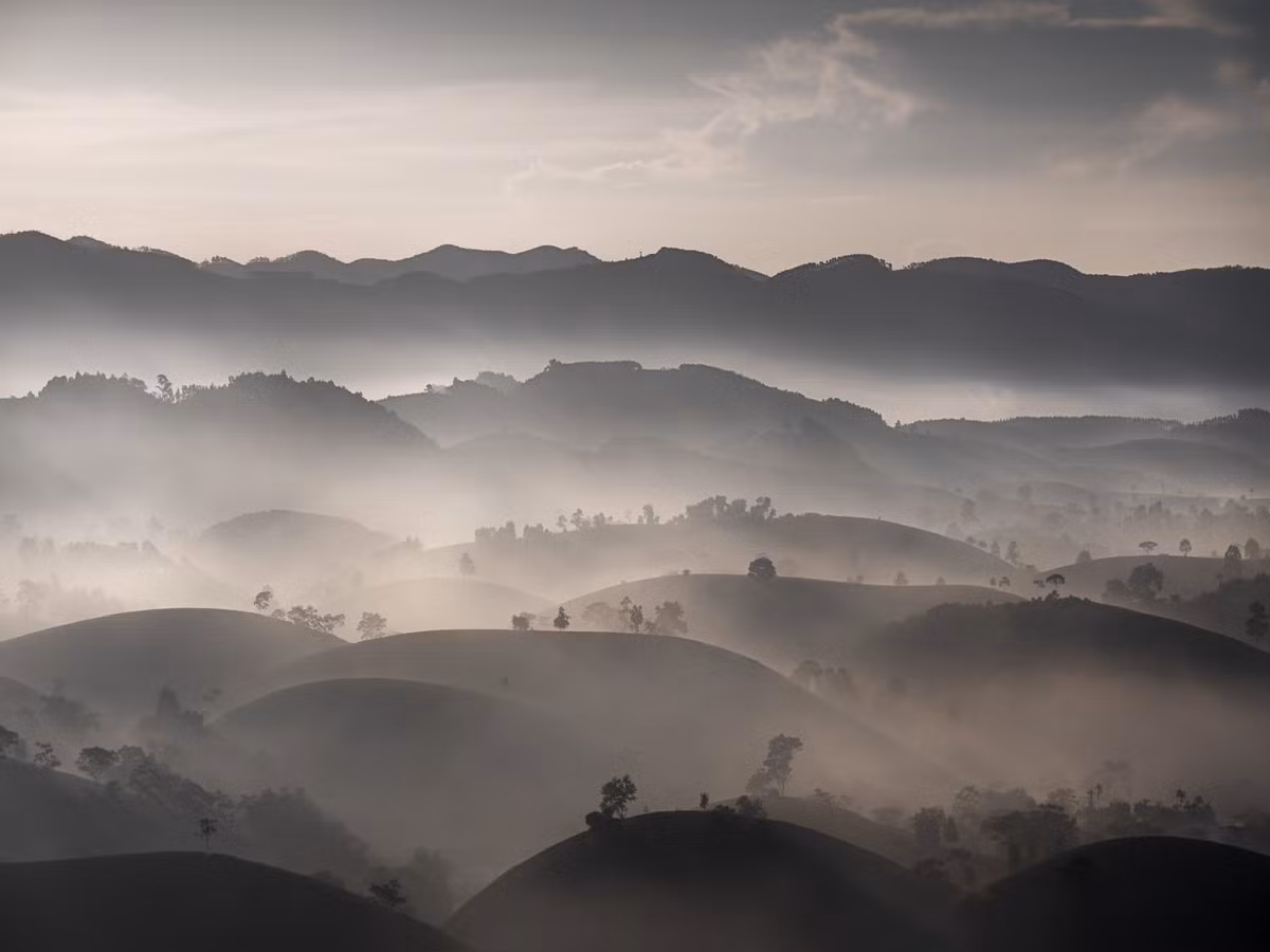 Nơi đây từng nhiều lần được ví như "một trong những đồi chè đẹp nhất Việt Nam", thu hút không chỉ phượt thủ, nhiếp ảnh gia mà còn cả những gia đình, nhóm bạn trẻ tìm về để tận hưởng vẻ đẹp nguyên sơ, trong lành. Ảnh Đức Ngô